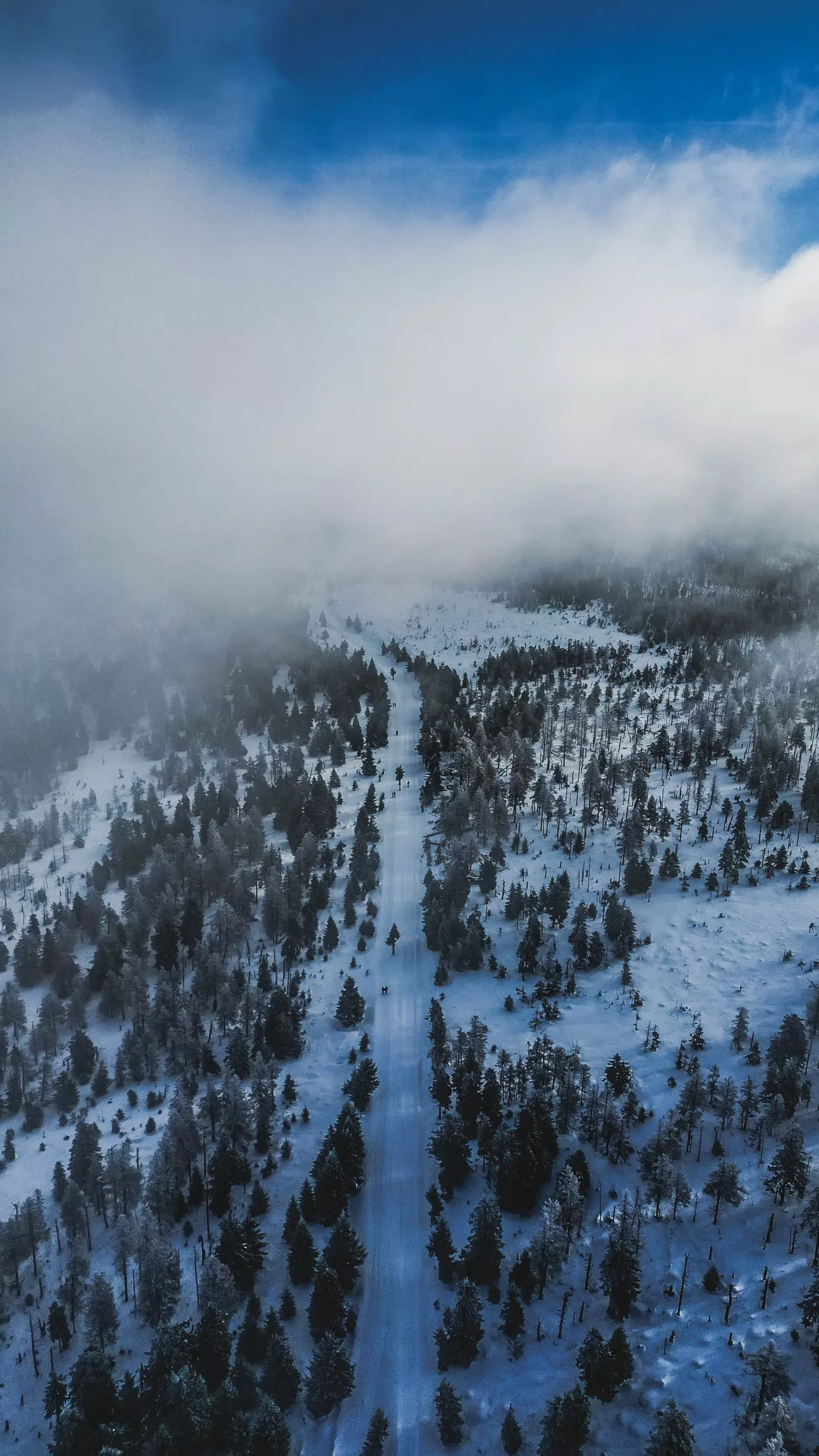 DJI_0895-HDR