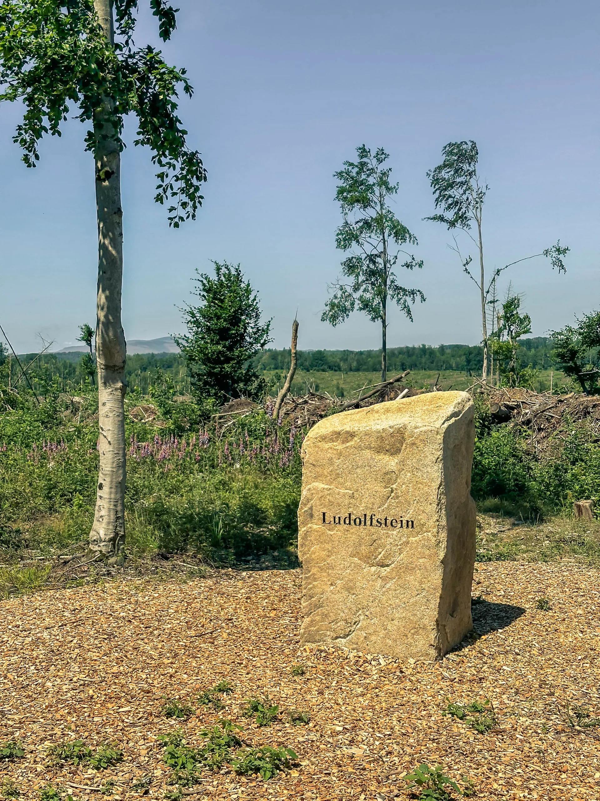 IMG_1259