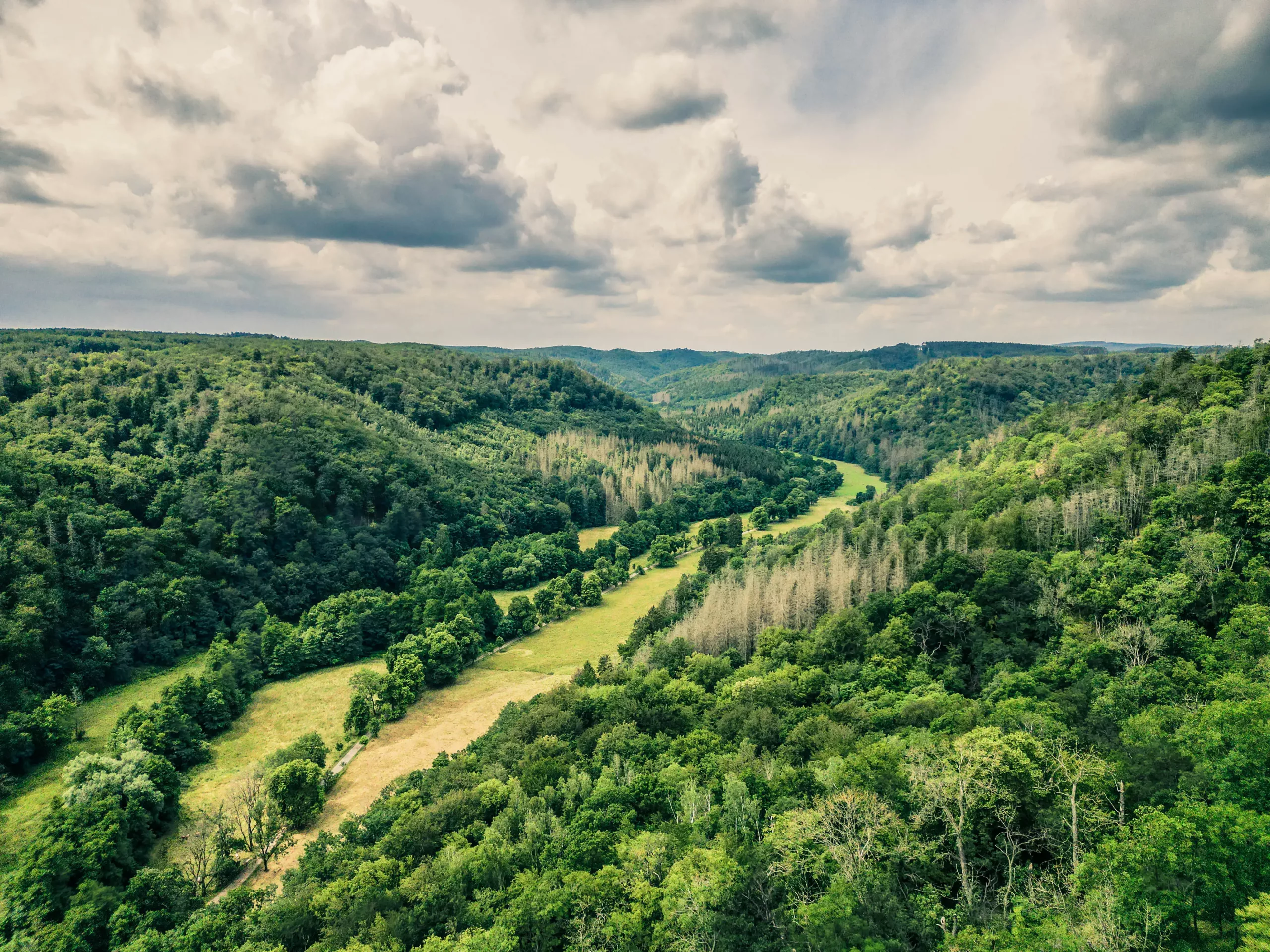 DJI_0203-HDR