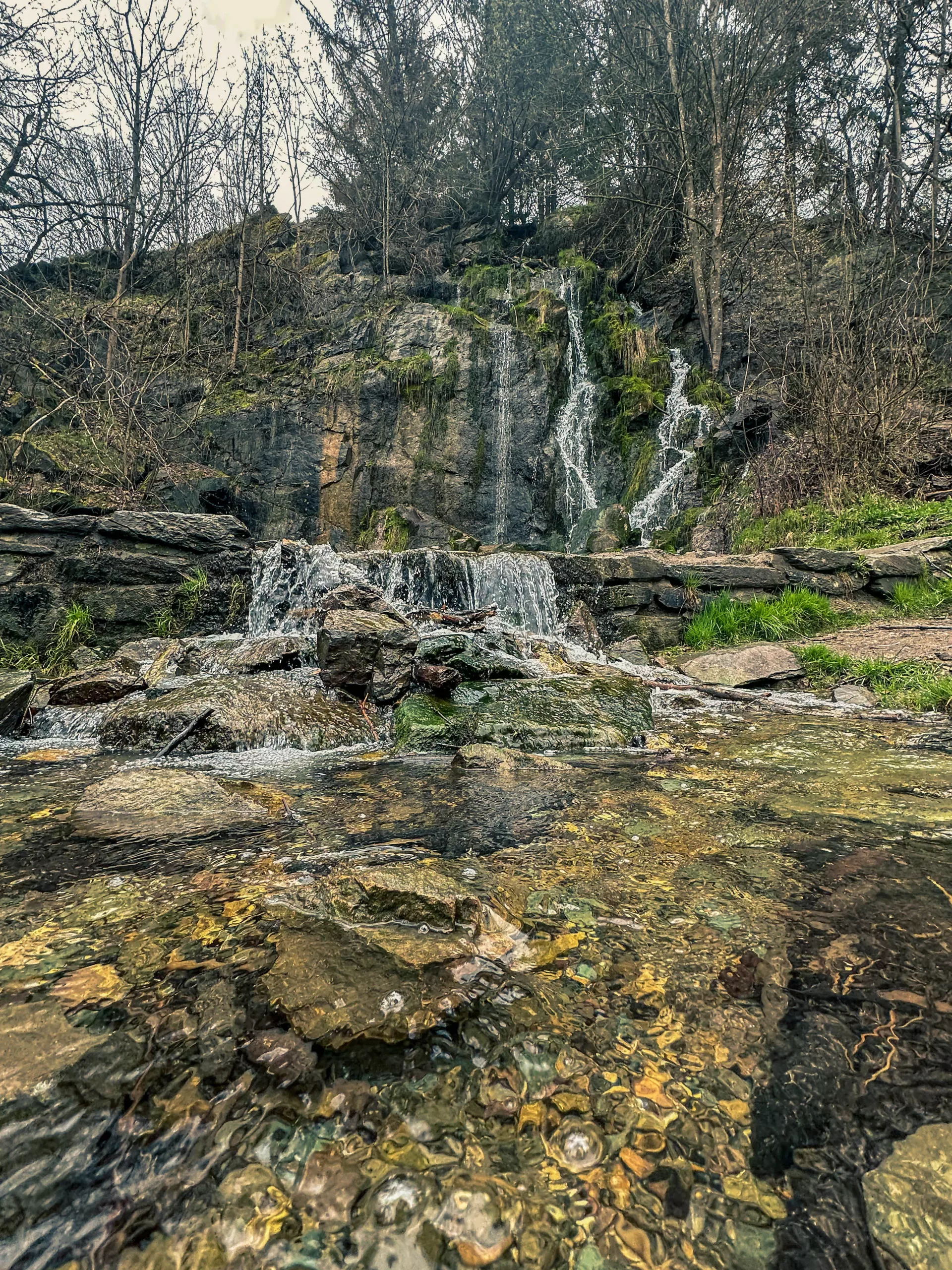 IMG_9931