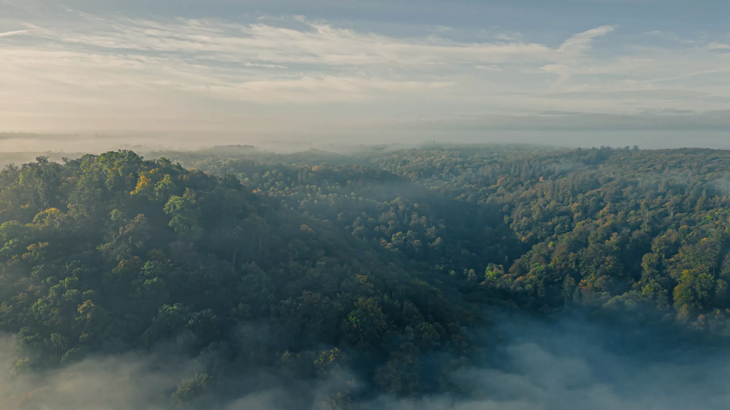 DJI_0349-HDR