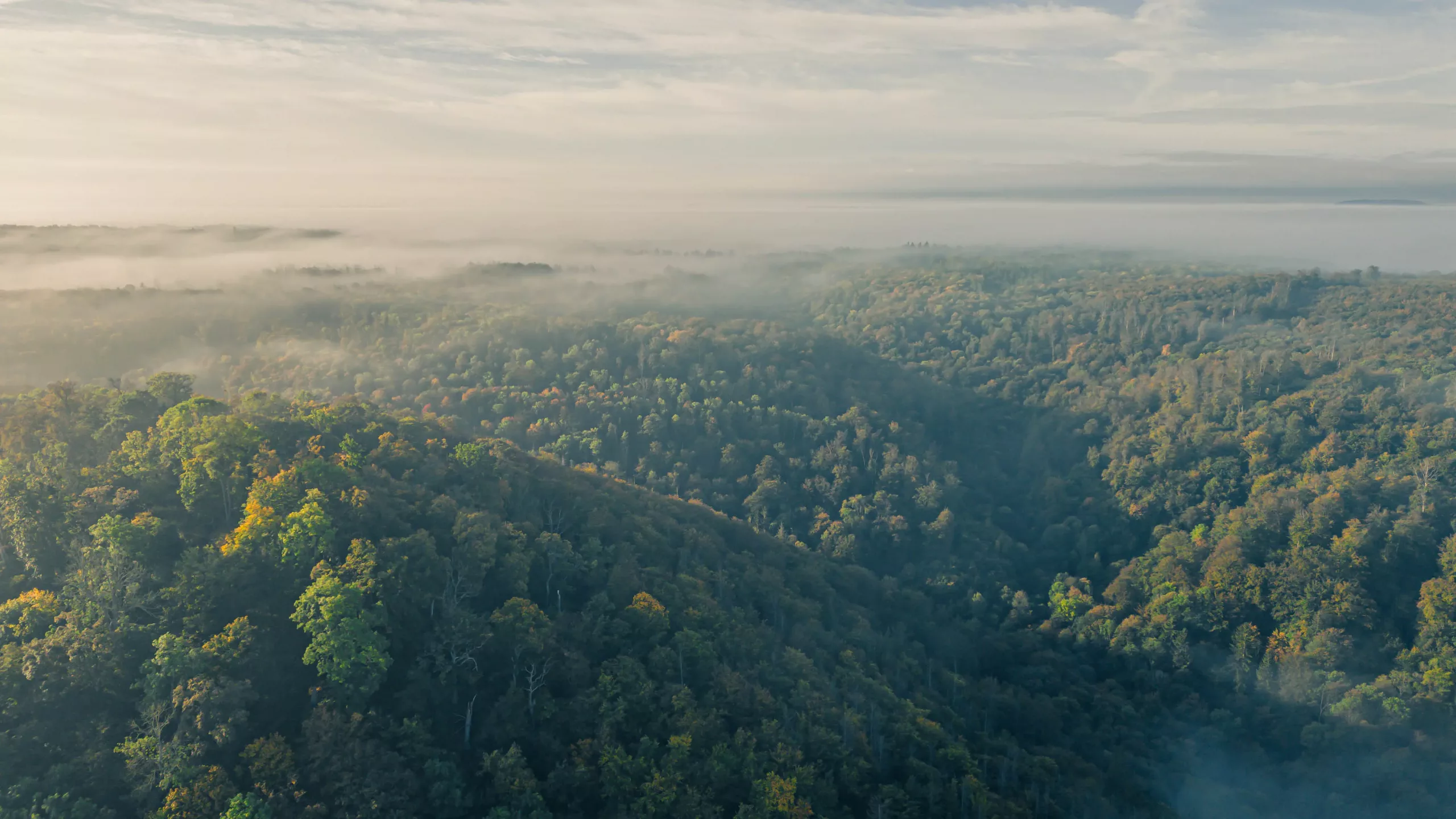 DJI_0359-HDR