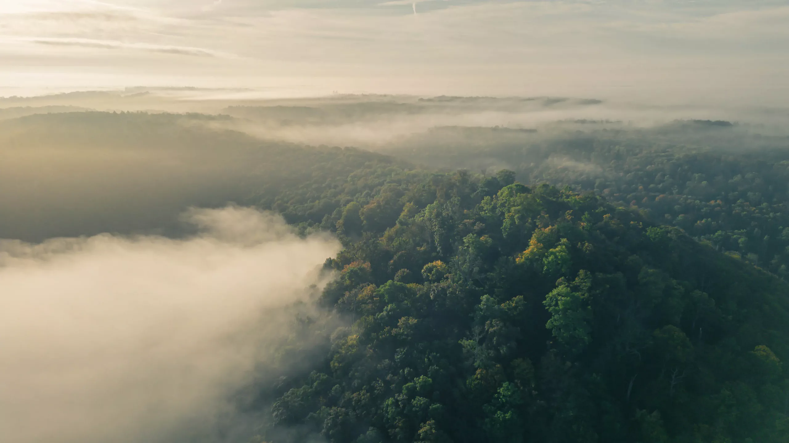 DJI_0364-HDR