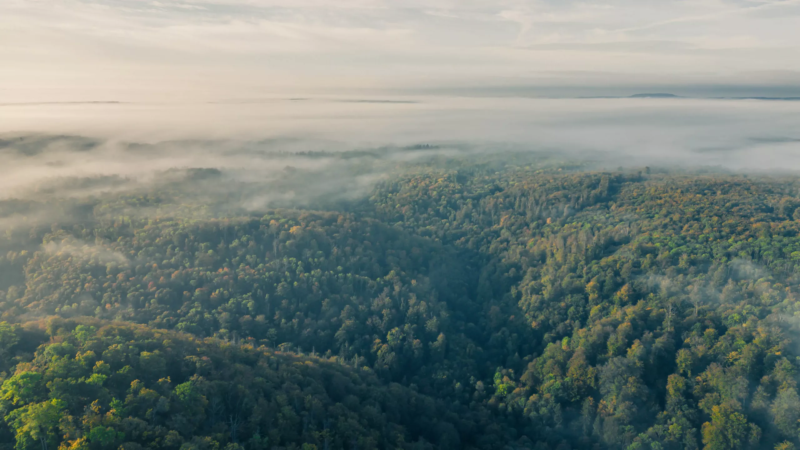 DJI_0374-HDR