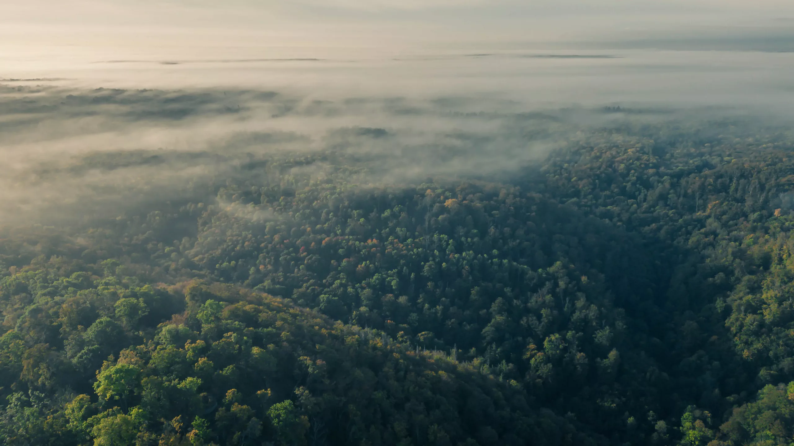 DJI_0384-HDR