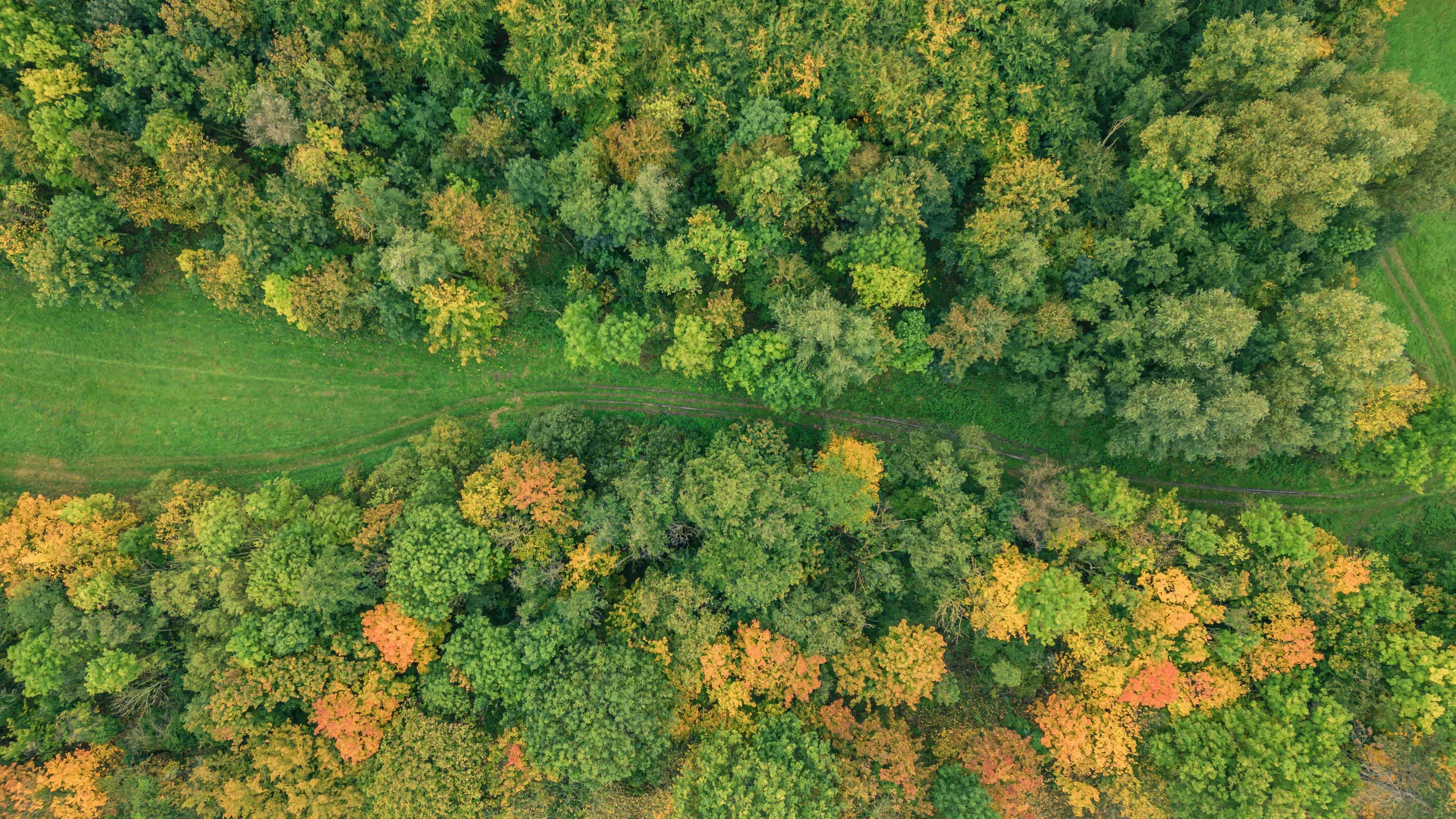 DJI_0426-HDR