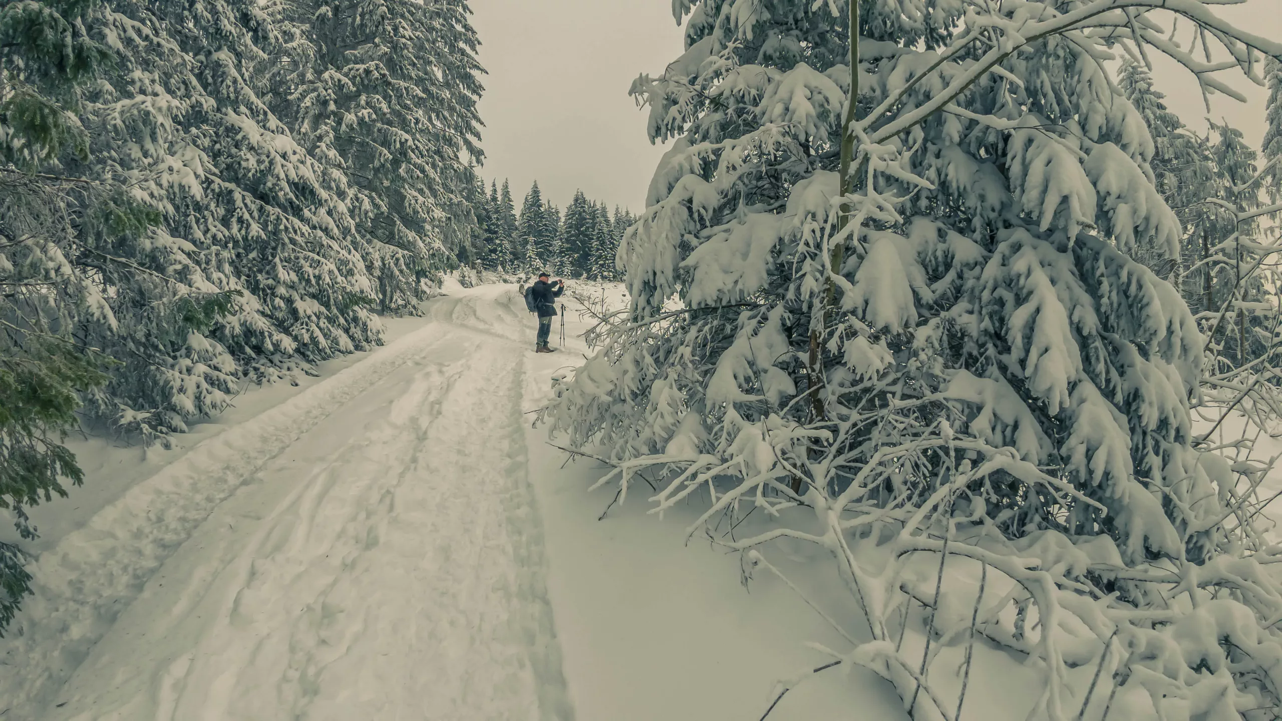 DJI_20240120100749_0026_D