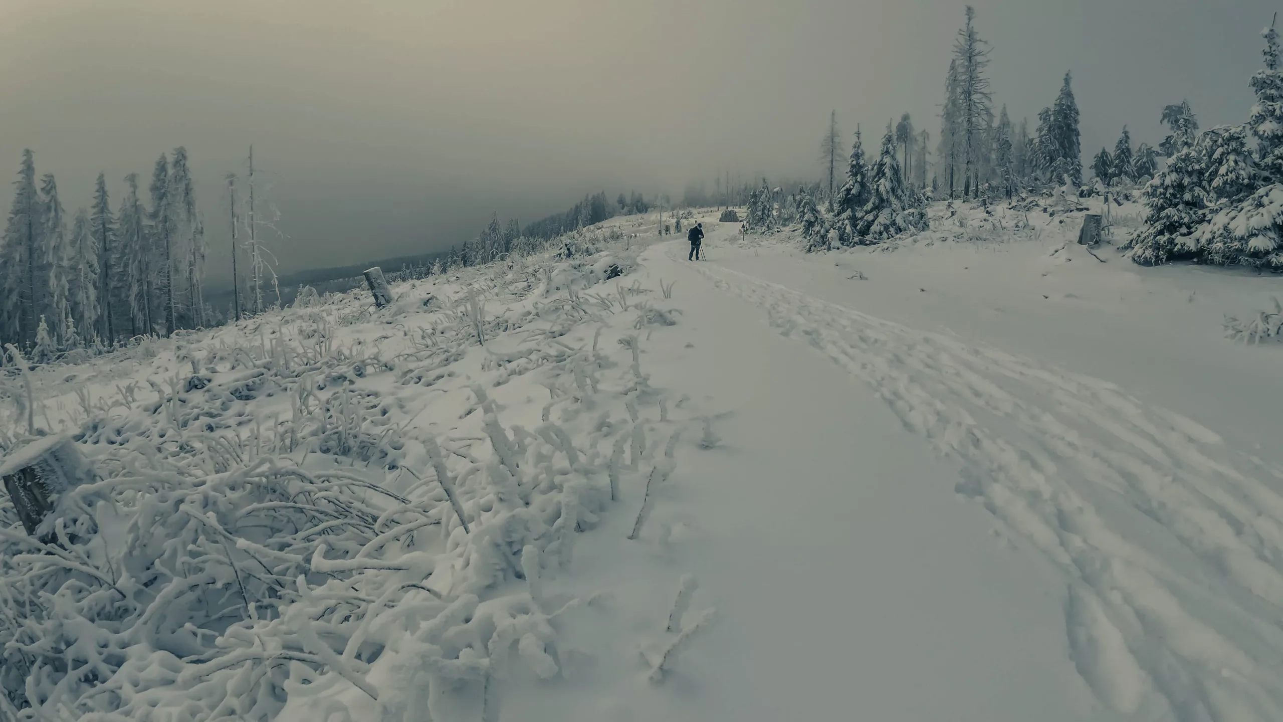 DJI_20240120112112_0063_D
