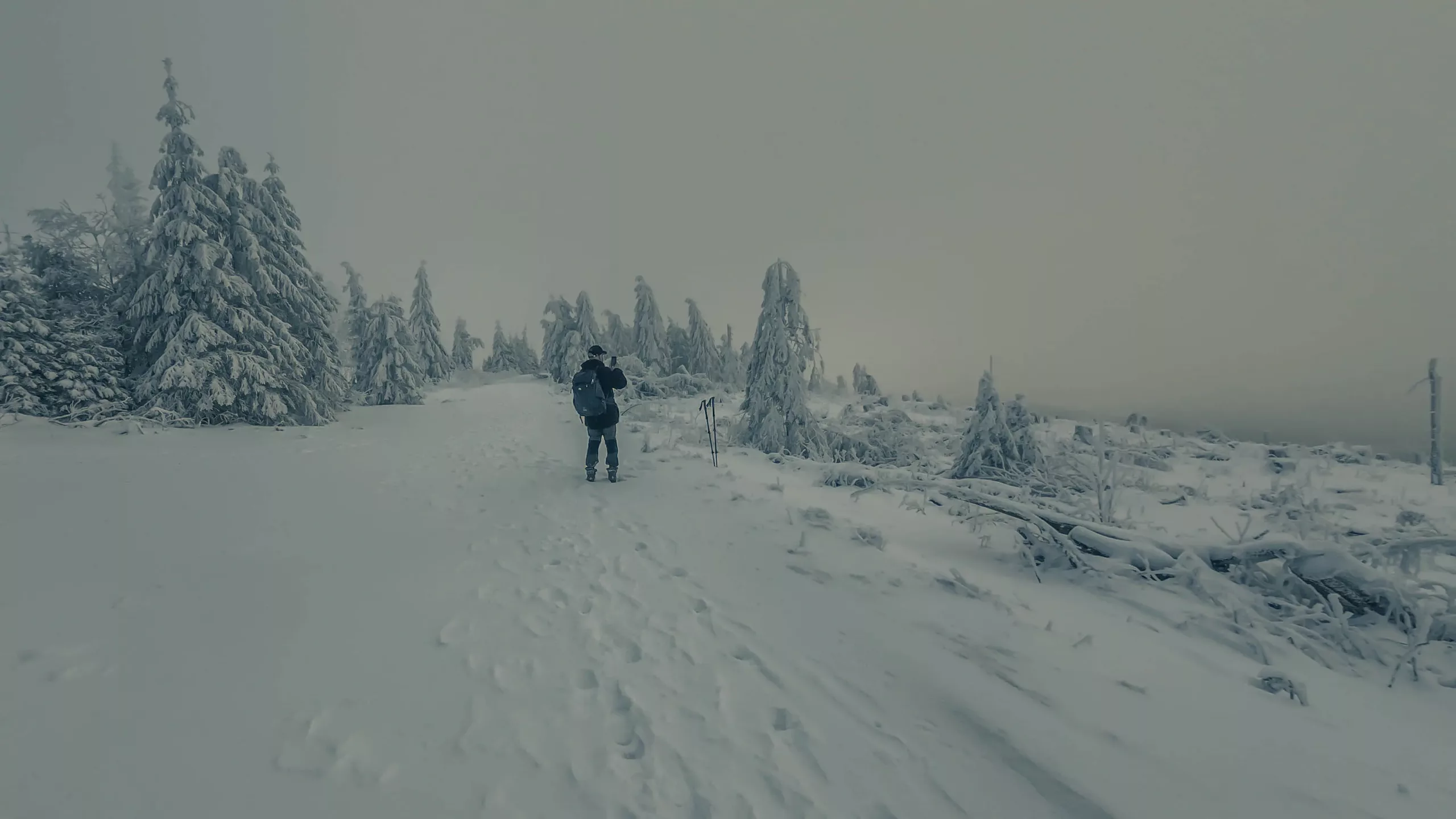 DJI_20240120113314_0076_D