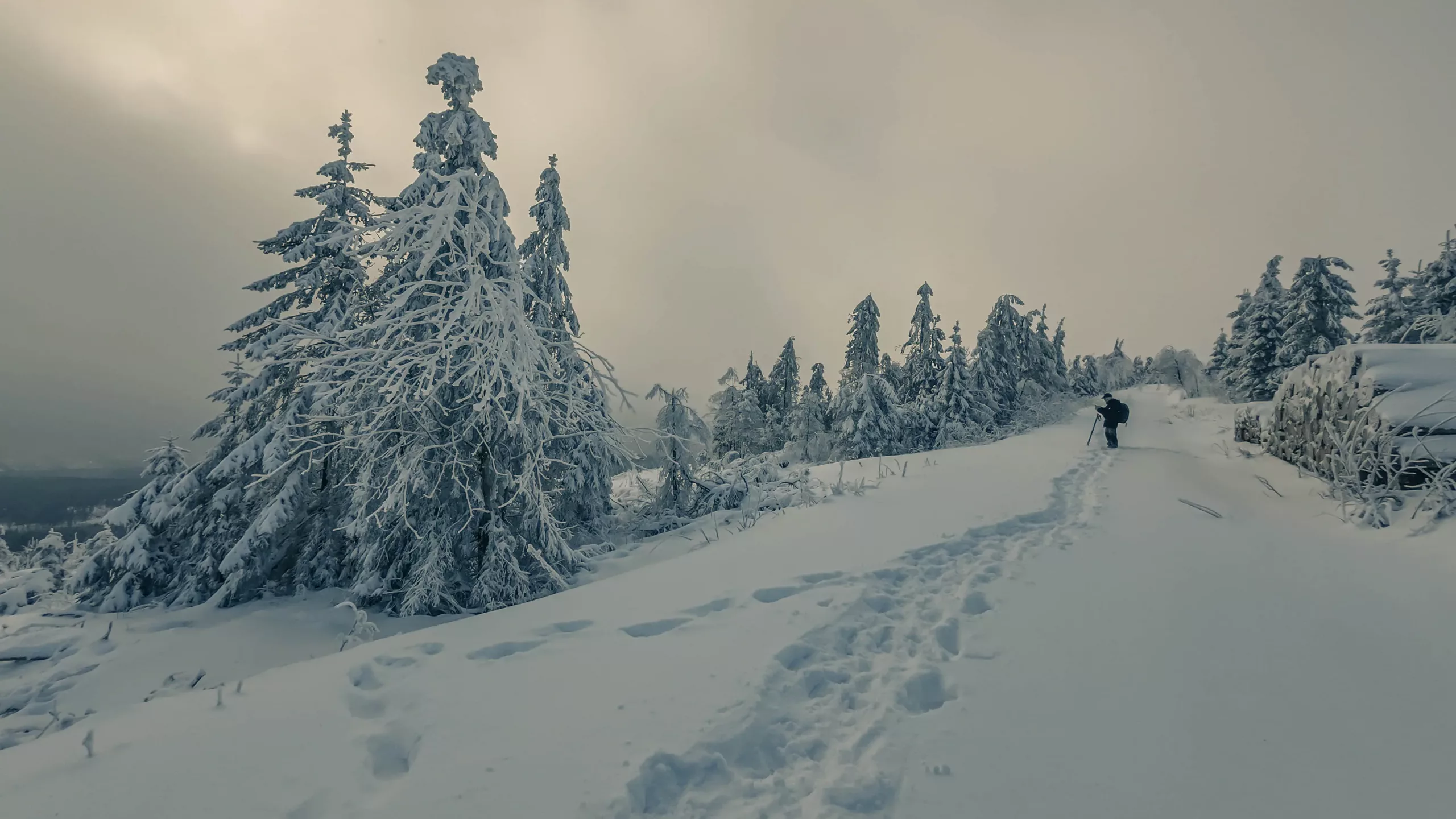 DJI_20240120114555_0085_D