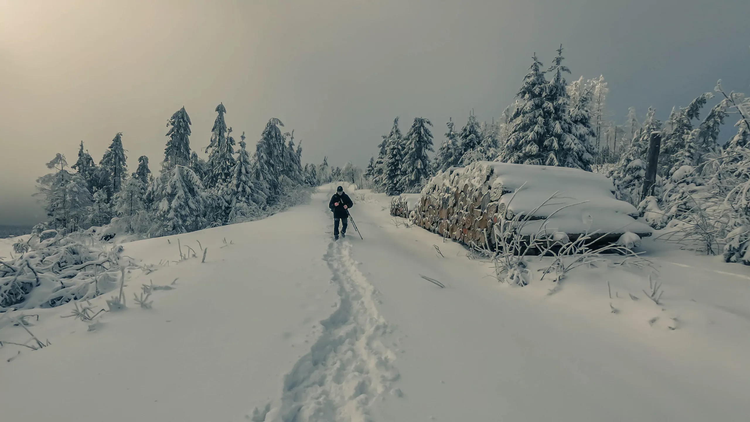DJI_20240120114615_0087_D