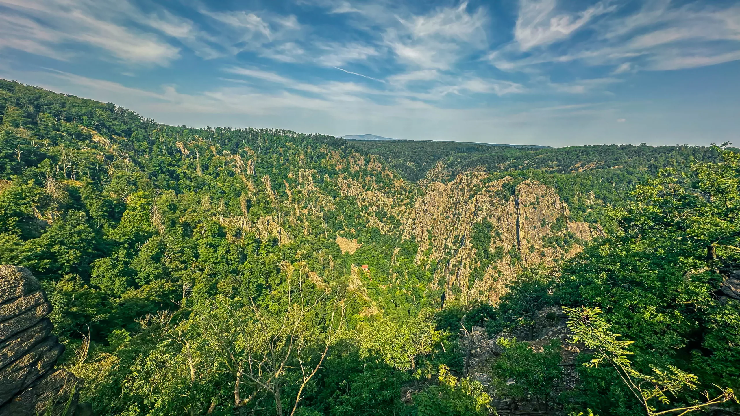 202407020.Das.Bodetal.im.Juli.Bild16