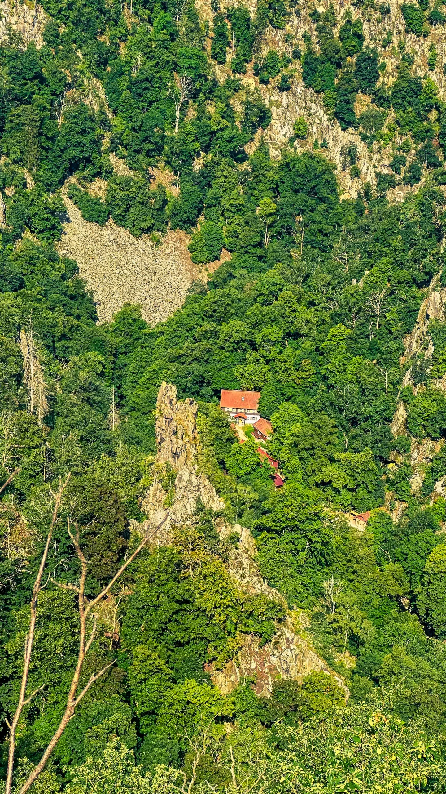 202407020.Das.Bodetal.im.Juli.Bild17