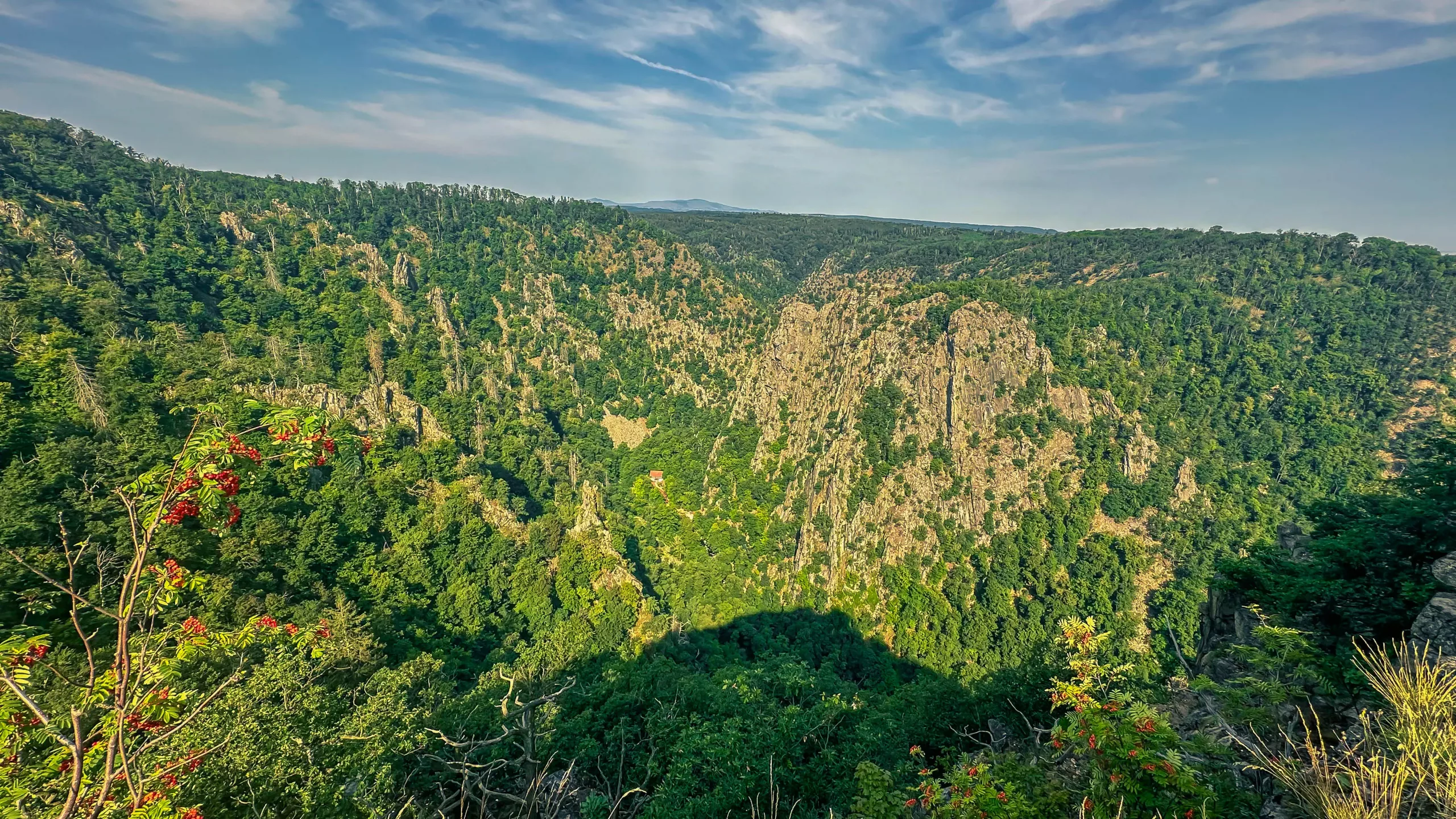 202407020.Das.Bodetal.im.Juli.Bild19