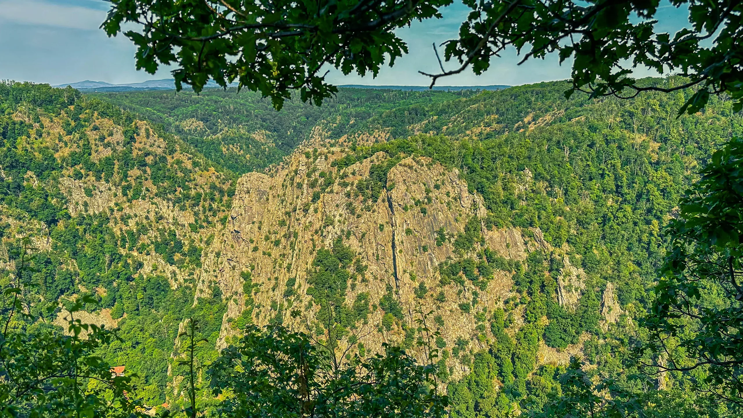 202407020.Das.Bodetal.im.Juli.Bild23