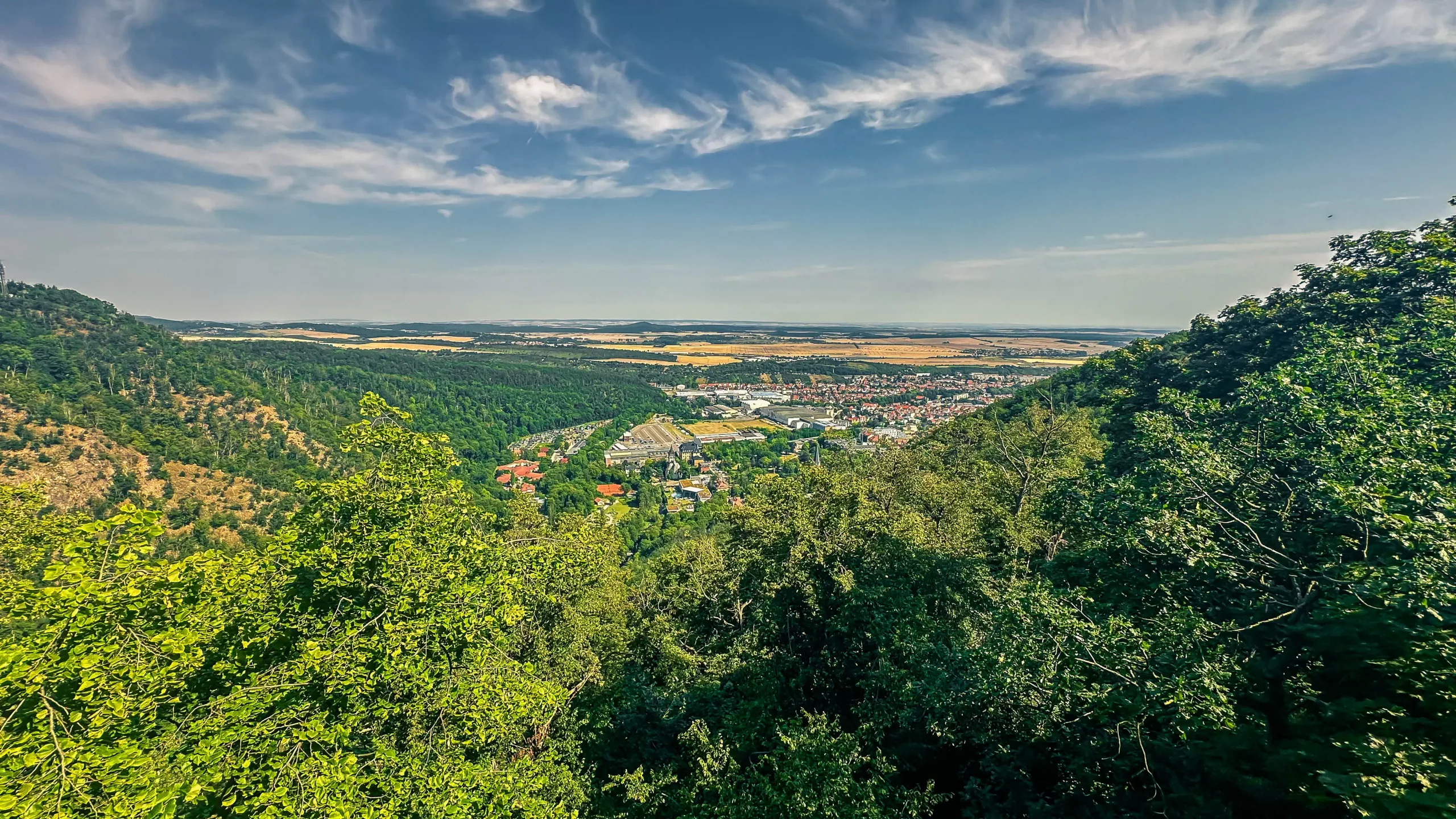 202407020.Das.Bodetal.im.Juli.Bild32
