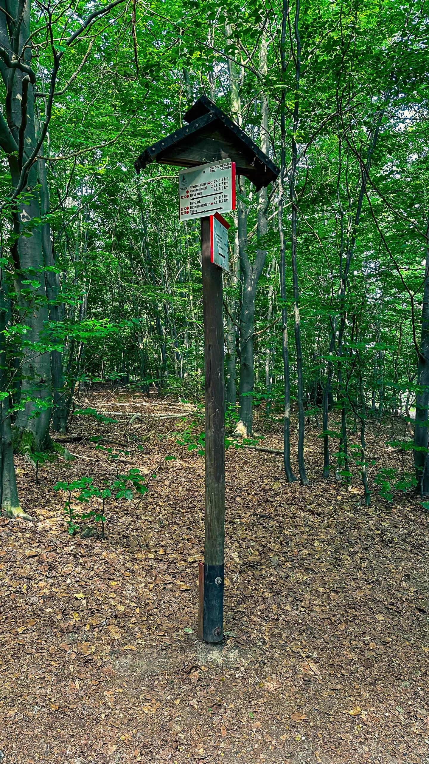 202407020.Das.Bodetal.im.Juli.Bild7