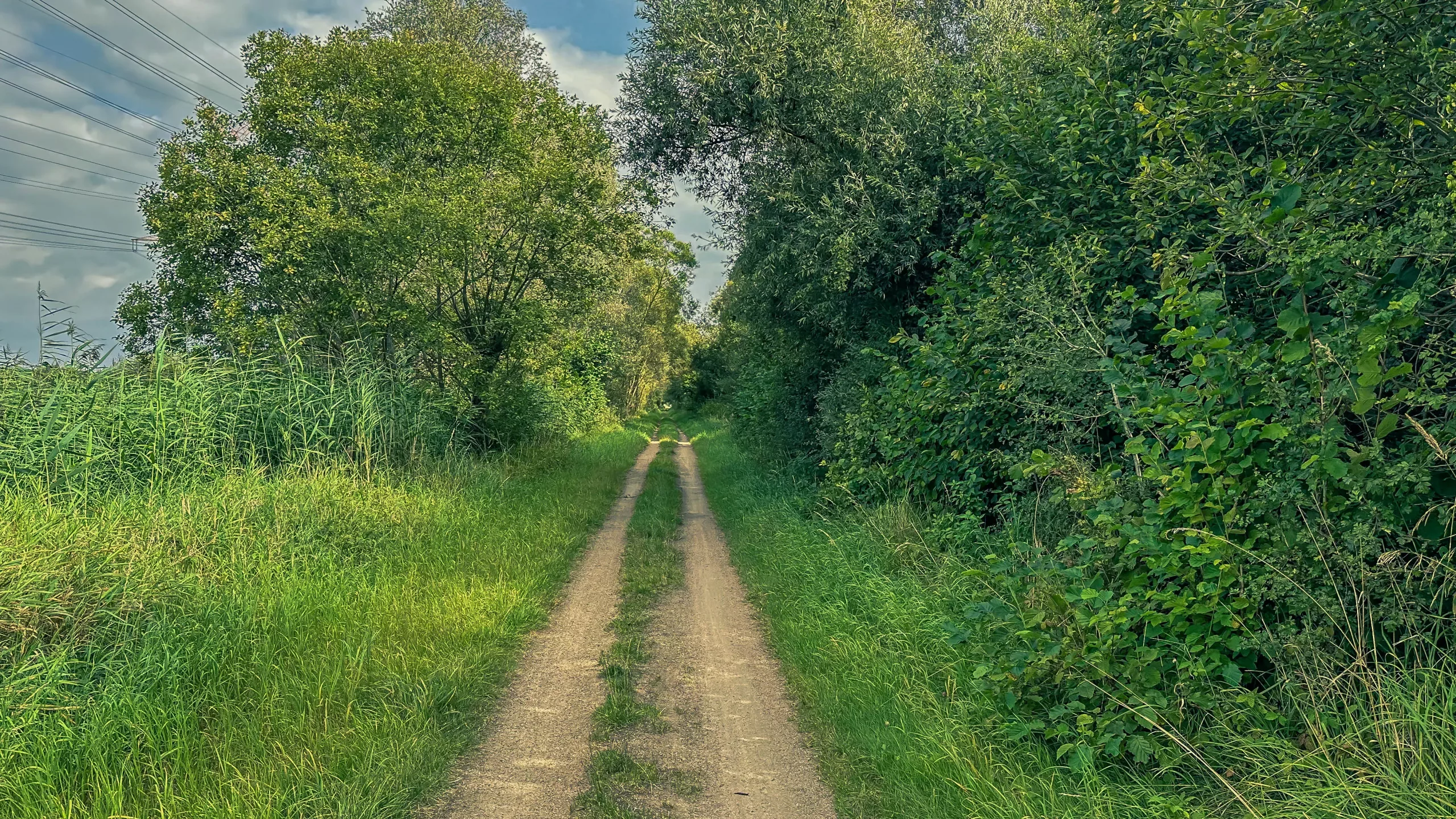 202408024.V6.Rundkurs.23km.Aumund.und.Umgebung.Bild19