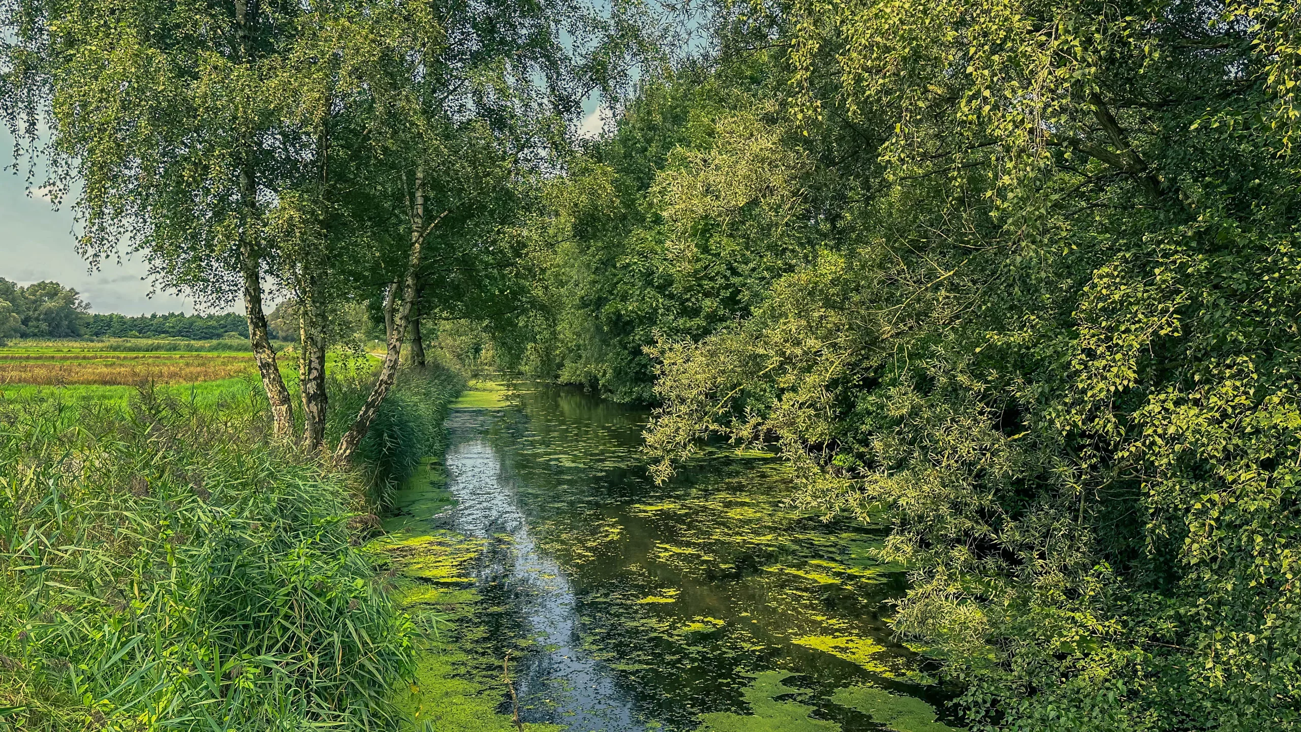 202408024.V6.Rundkurs.23km.Aumund.und.Umgebung.Bild24