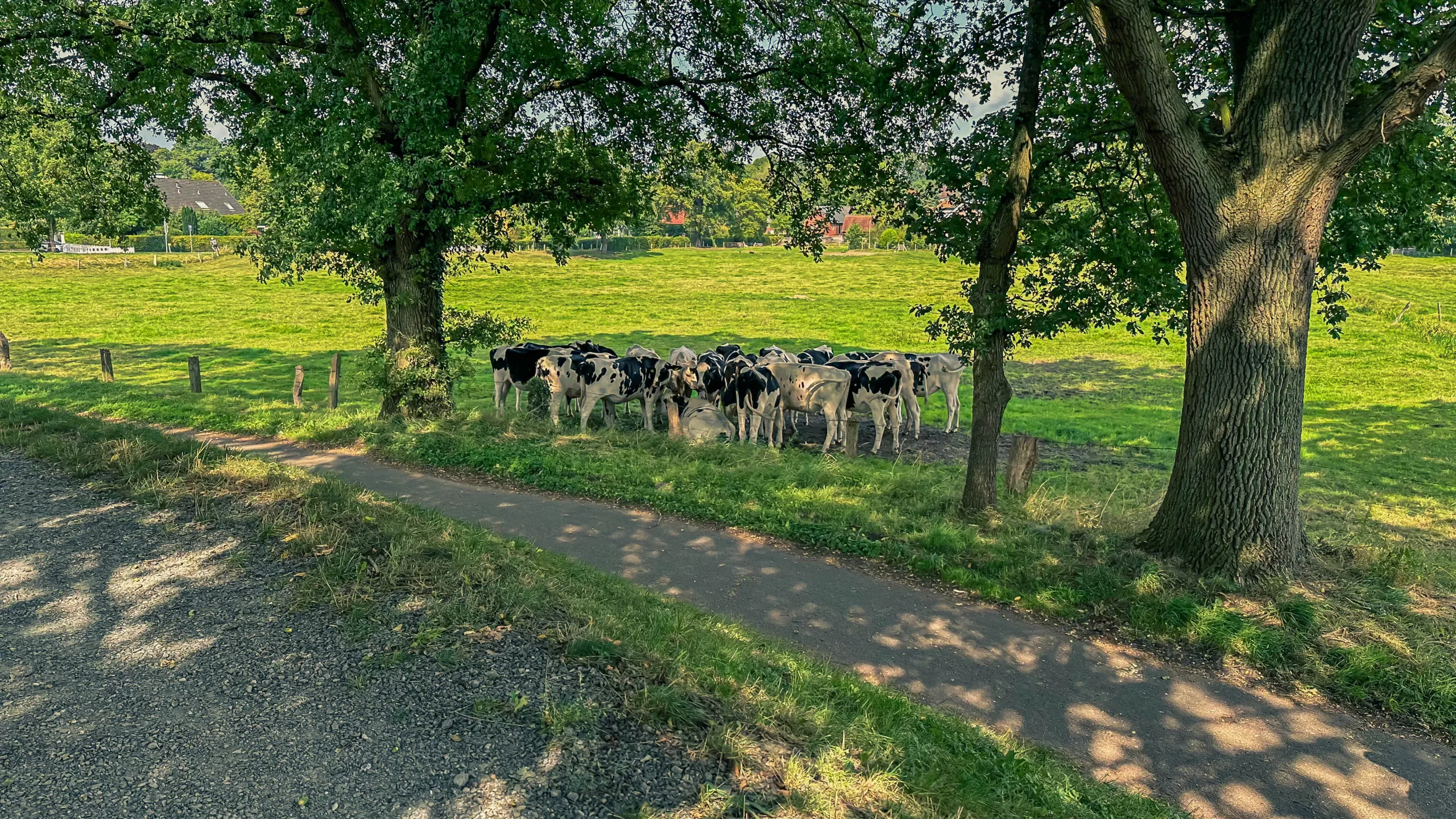 202408024.V6.Rundkurs.23km.Aumund.und.Umgebung.Bild28