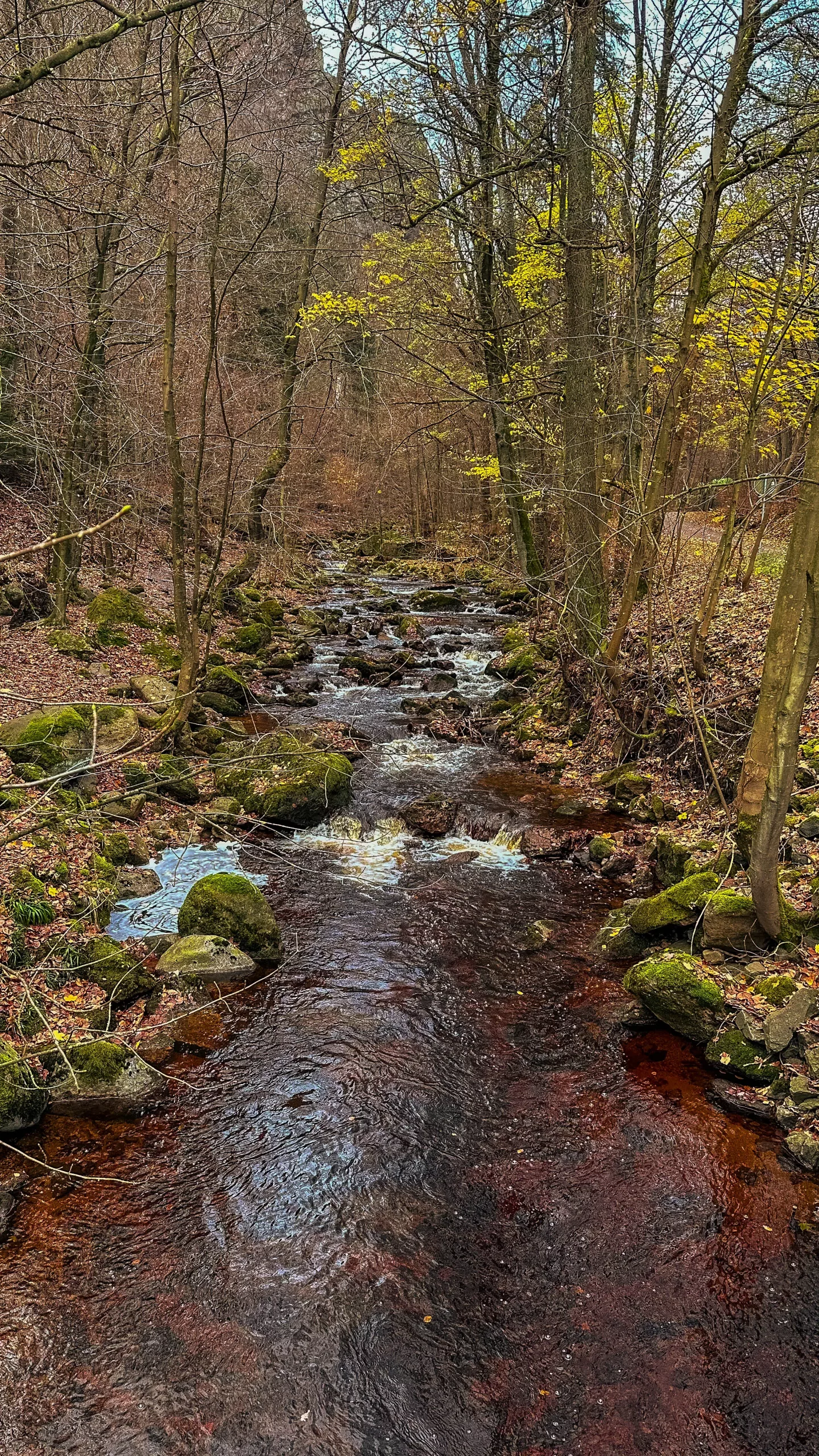 20241116.Das.Ilsetal.im.Herbst.Bild11
