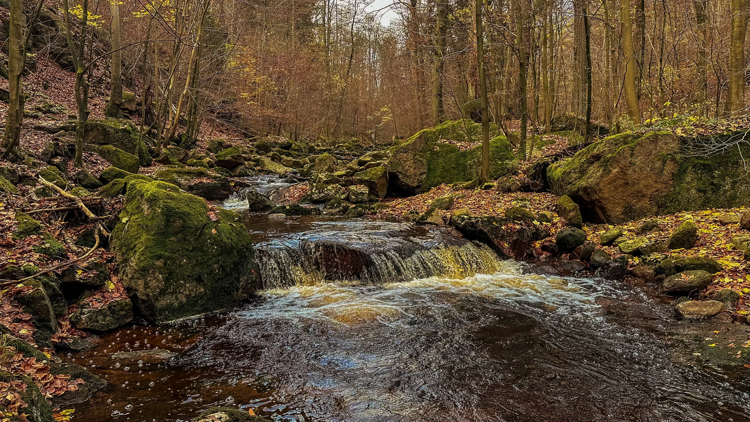 20241116.Das.Ilsetal.im.Herbst.Bild12