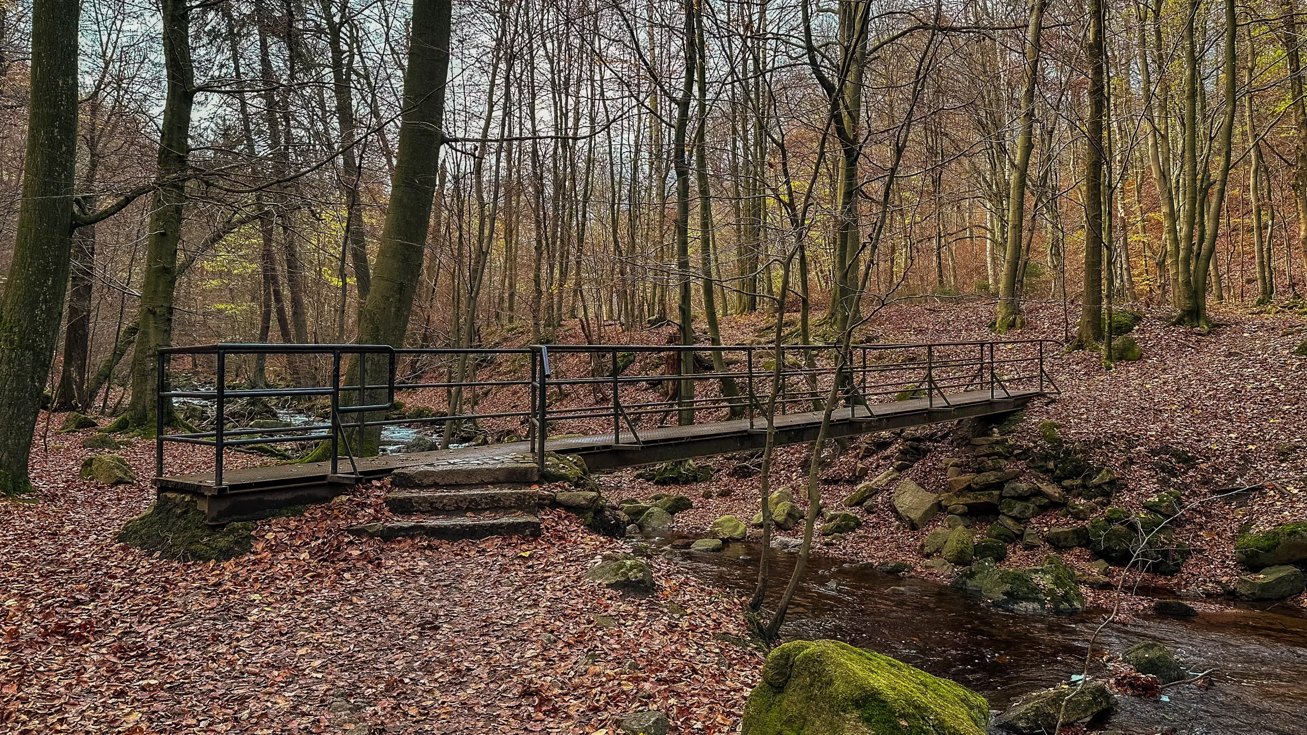 20241116.Das.Ilsetal.im.Herbst.Bild13