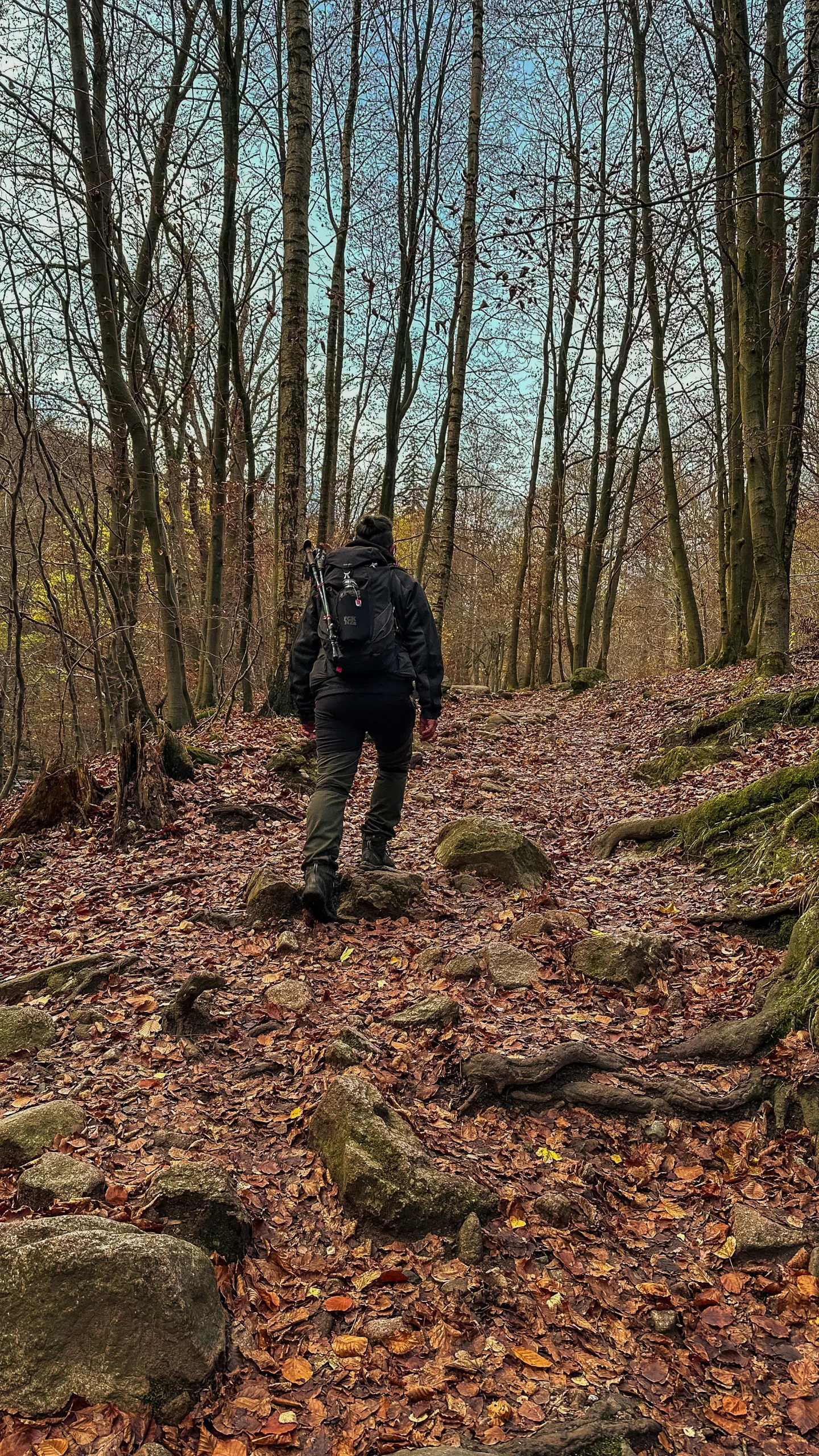 20241116.Das.Ilsetal.im.Herbst.Bild14