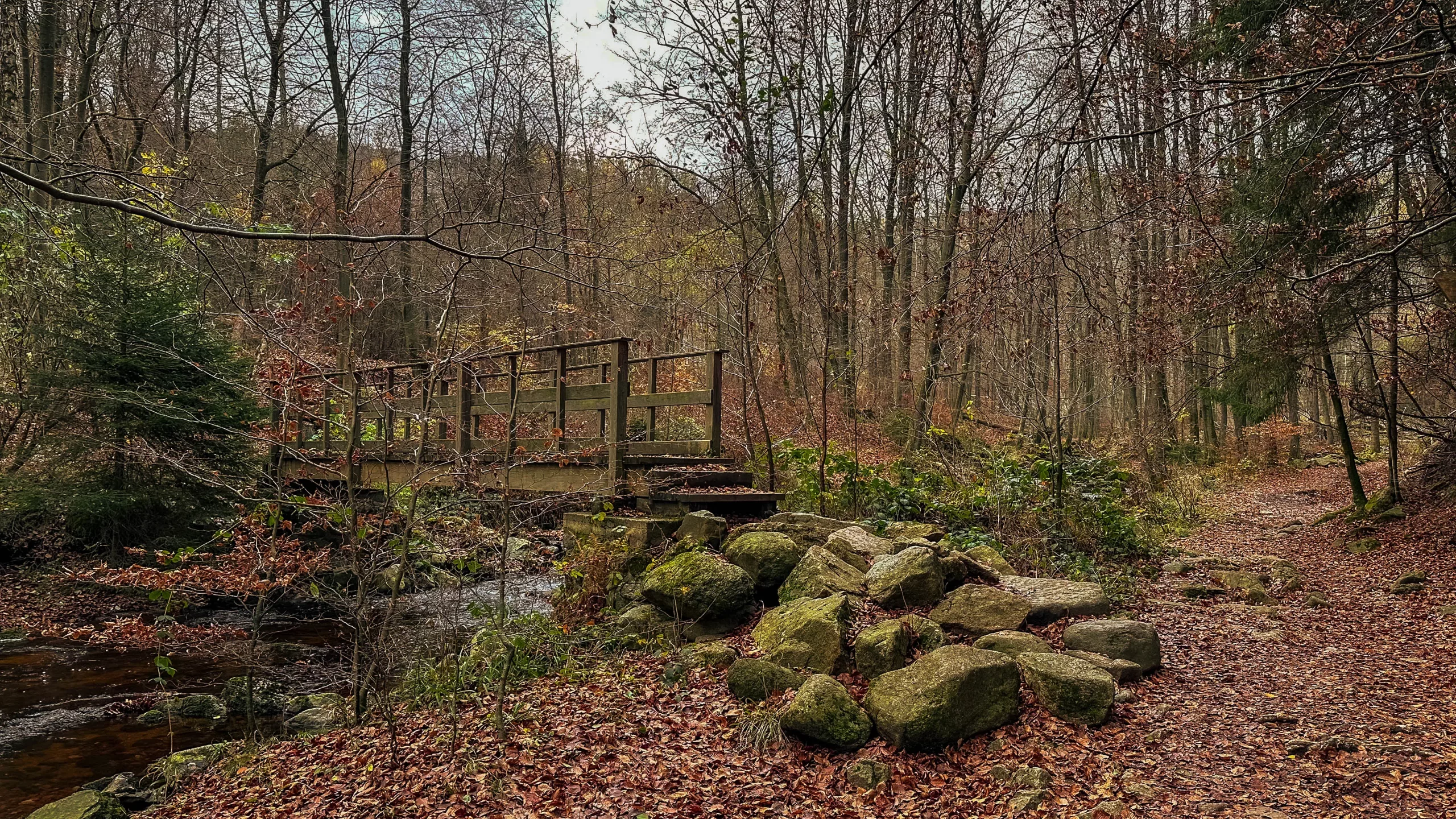 20241116.Das.Ilsetal.im.Herbst.Bild15