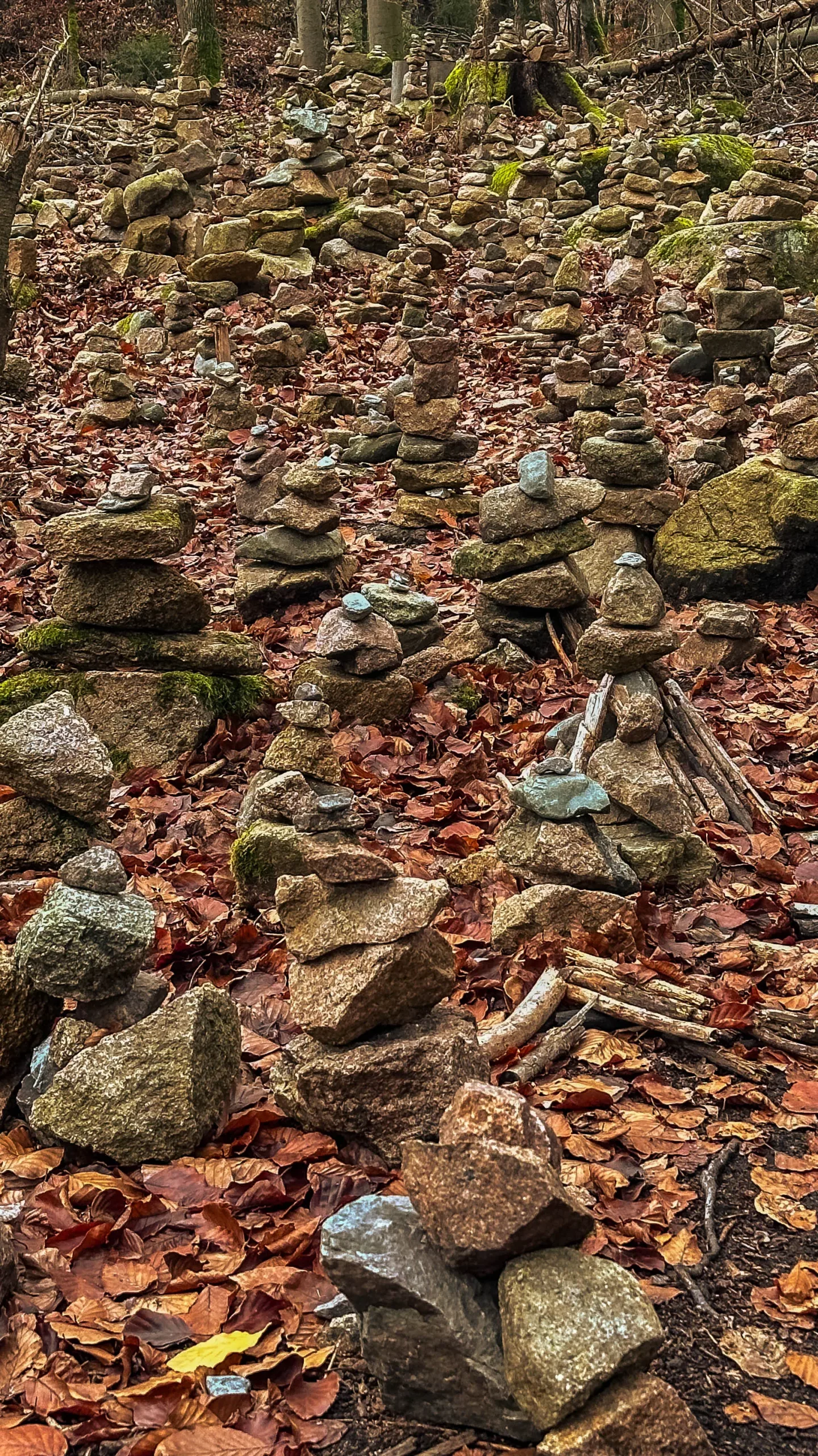 20241116.Das.Ilsetal.im.Herbst.Bild16