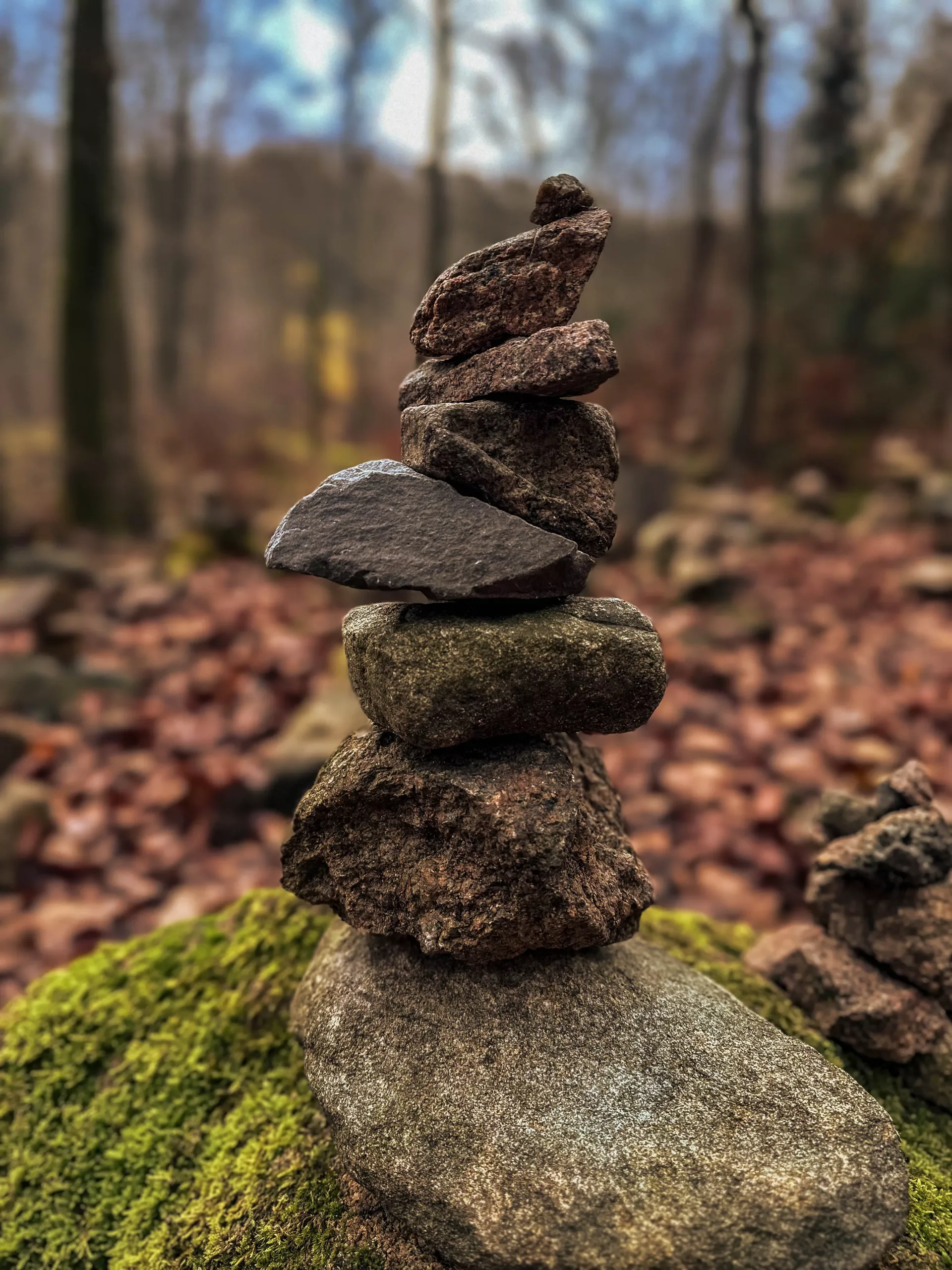 20241116.Das.Ilsetal.im.Herbst.Bild17