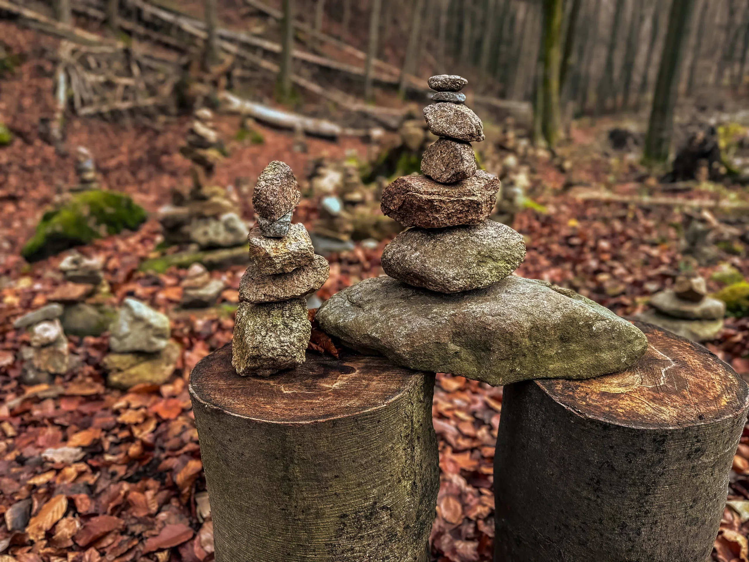 20241116.Das.Ilsetal.im.Herbst.Bild18
