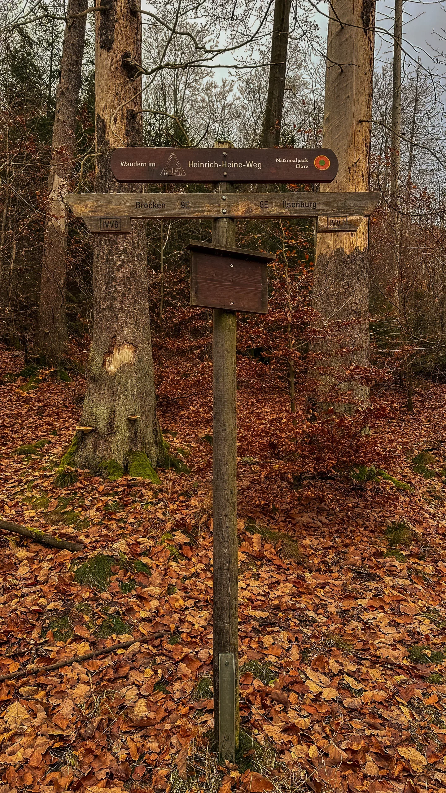 20241116.Das.Ilsetal.im.Herbst.Bild20