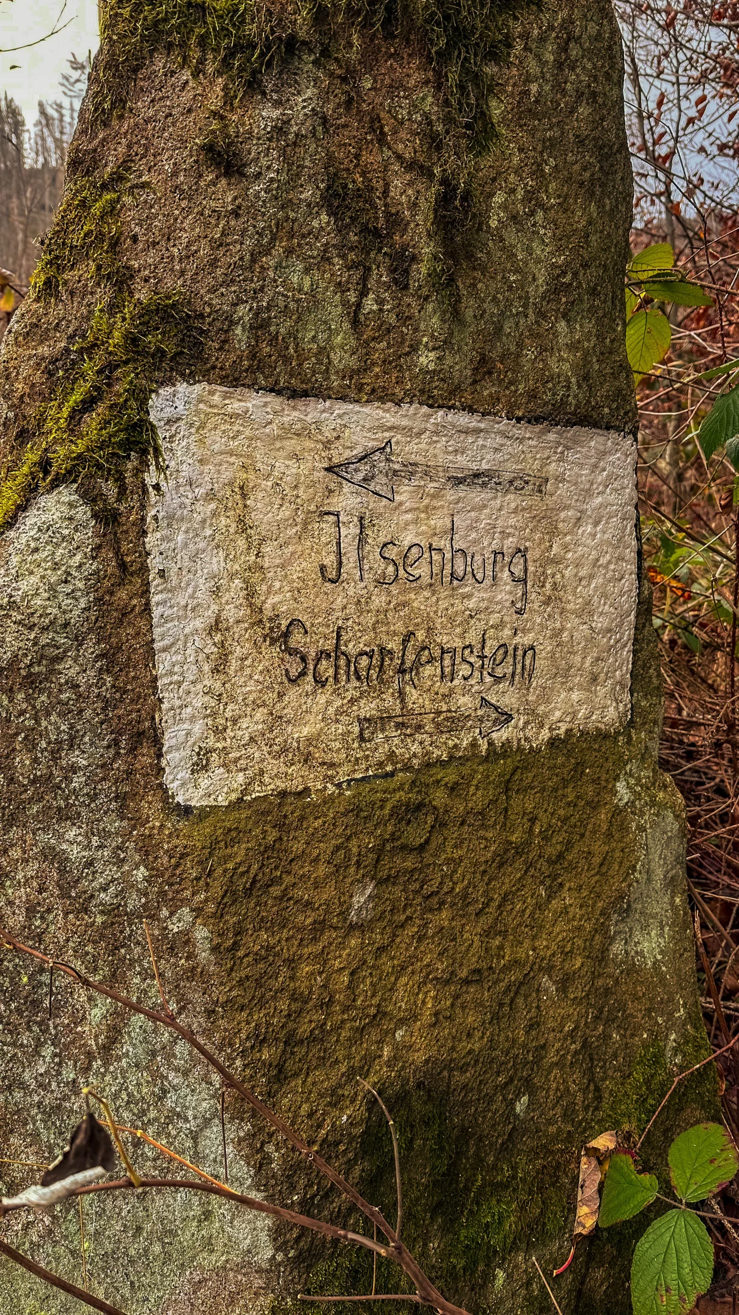 20241116.Das.Ilsetal.im.Herbst.Bild21