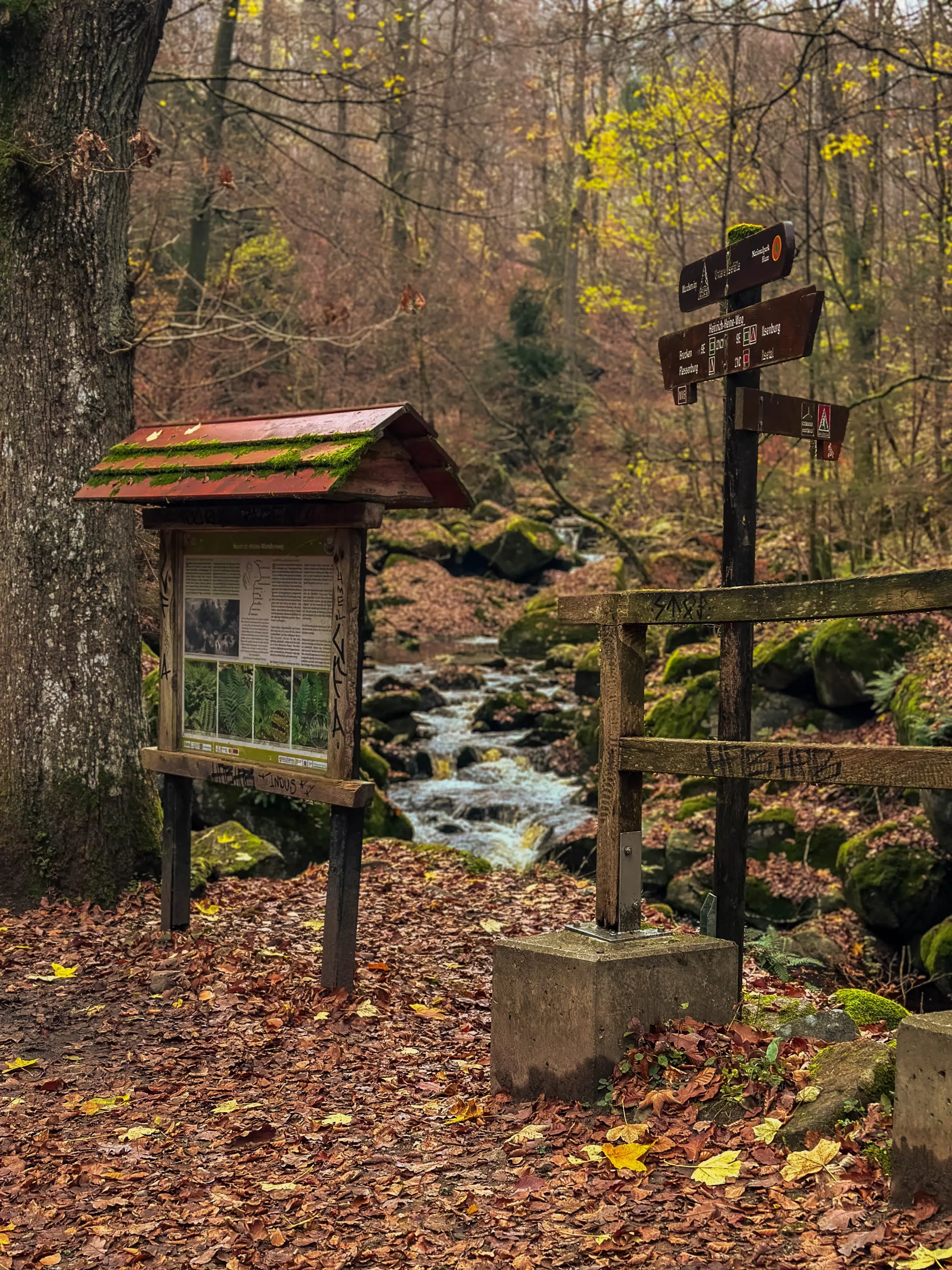 20241116.Das.Ilsetal.im.Herbst.Bild23