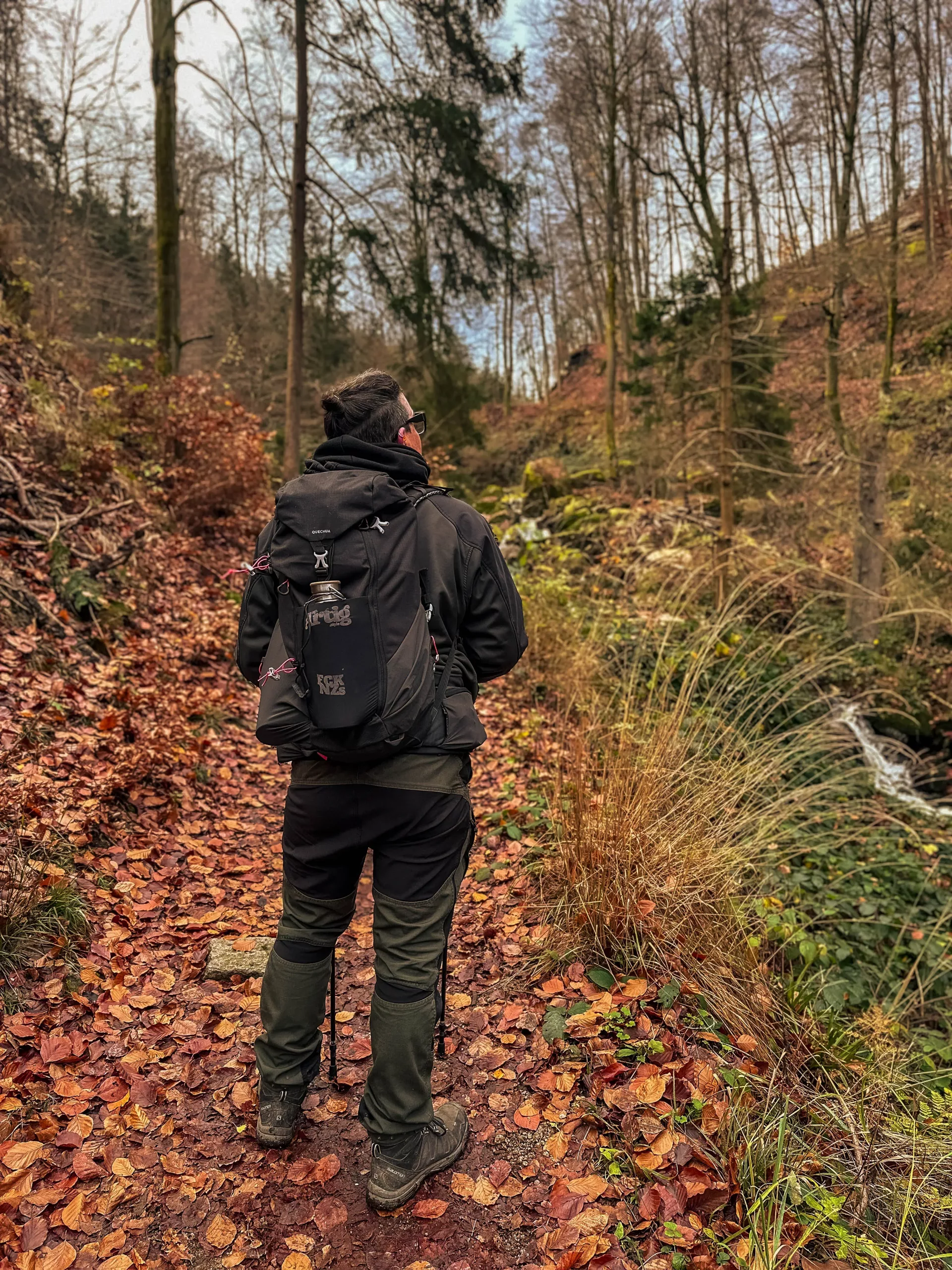 20241116.Das.Ilsetal.im.Herbst.Bild25