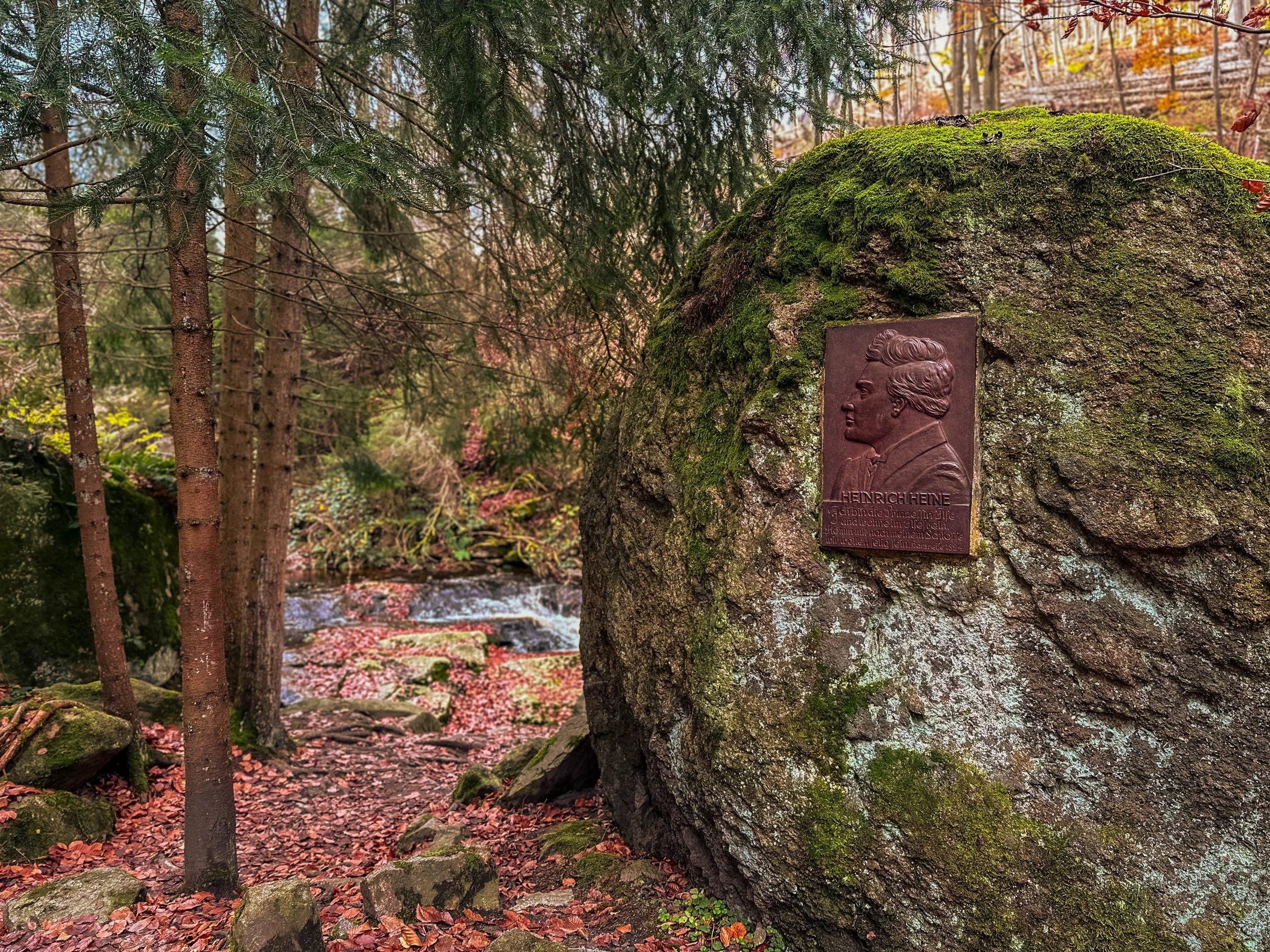 20241116.Das.Ilsetal.im.Herbst.Bild27