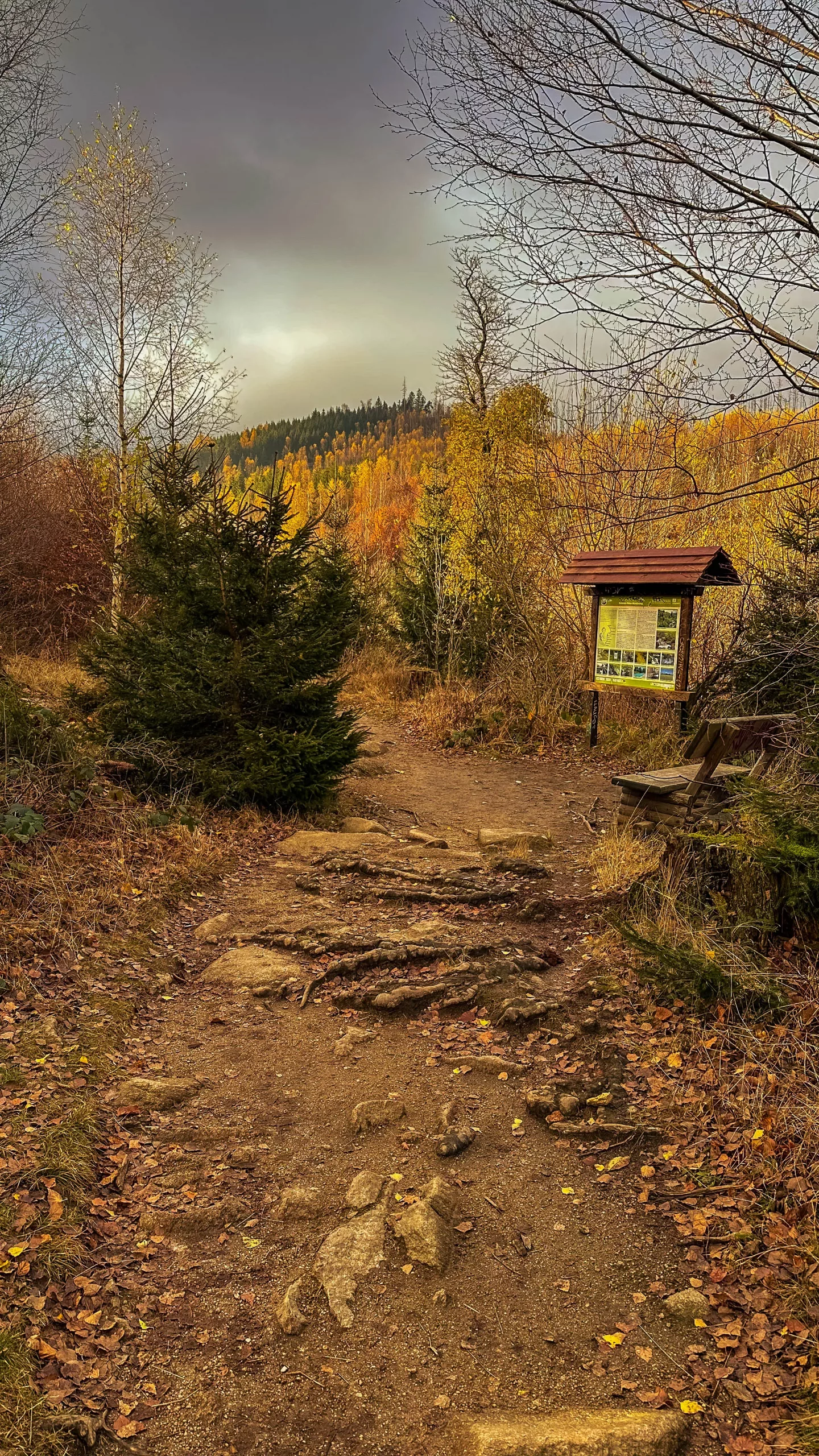 20241116.Das.Ilsetal.im.Herbst.Bild29