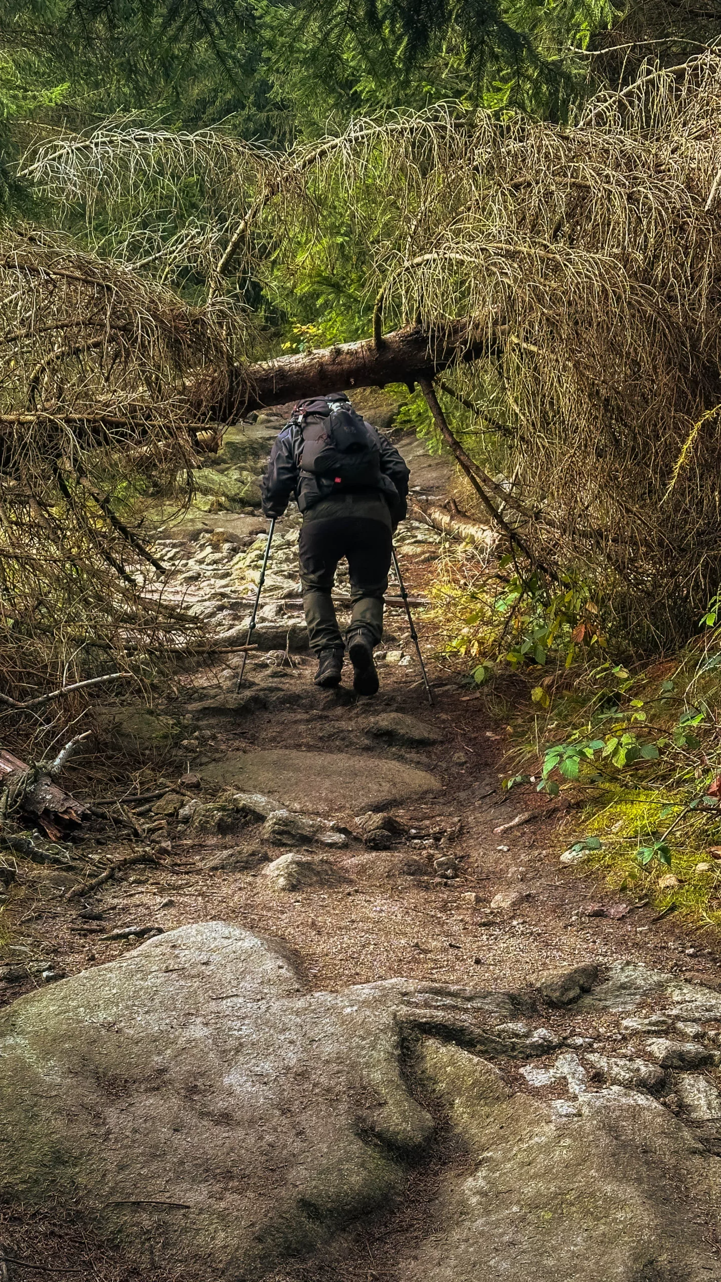 20241116.Das.Ilsetal.im.Herbst.Bild31