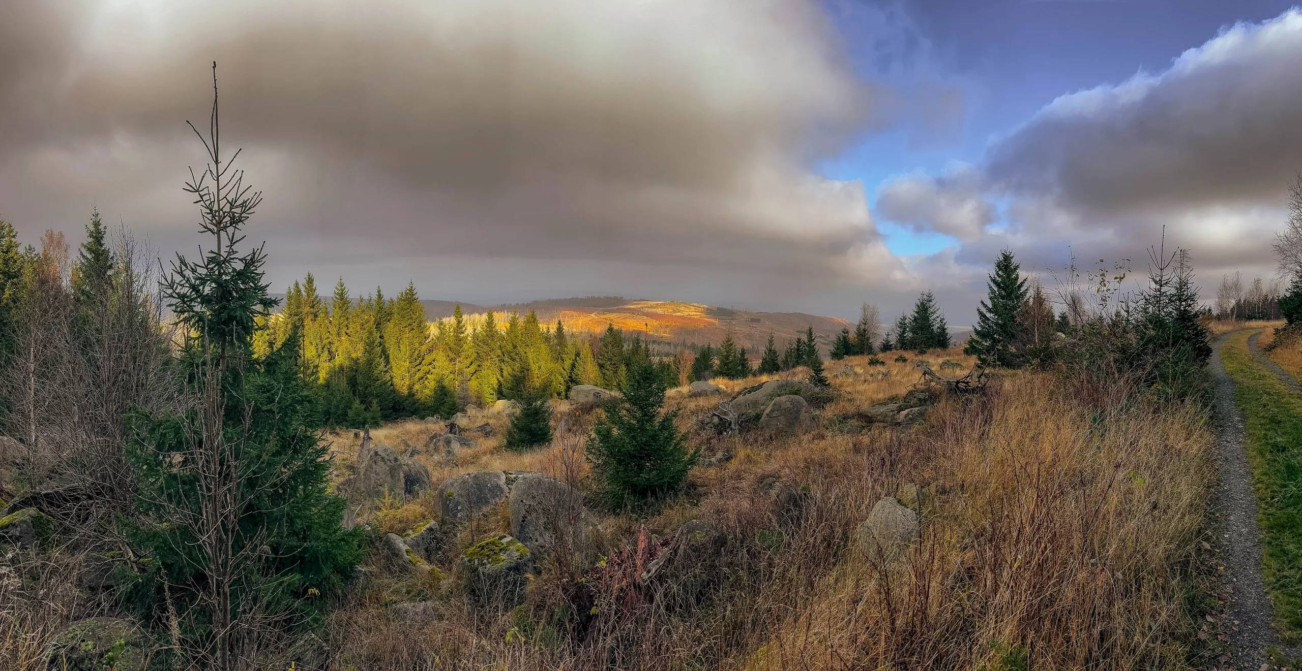 20241116.Das.Ilsetal.im.Herbst.Bild38