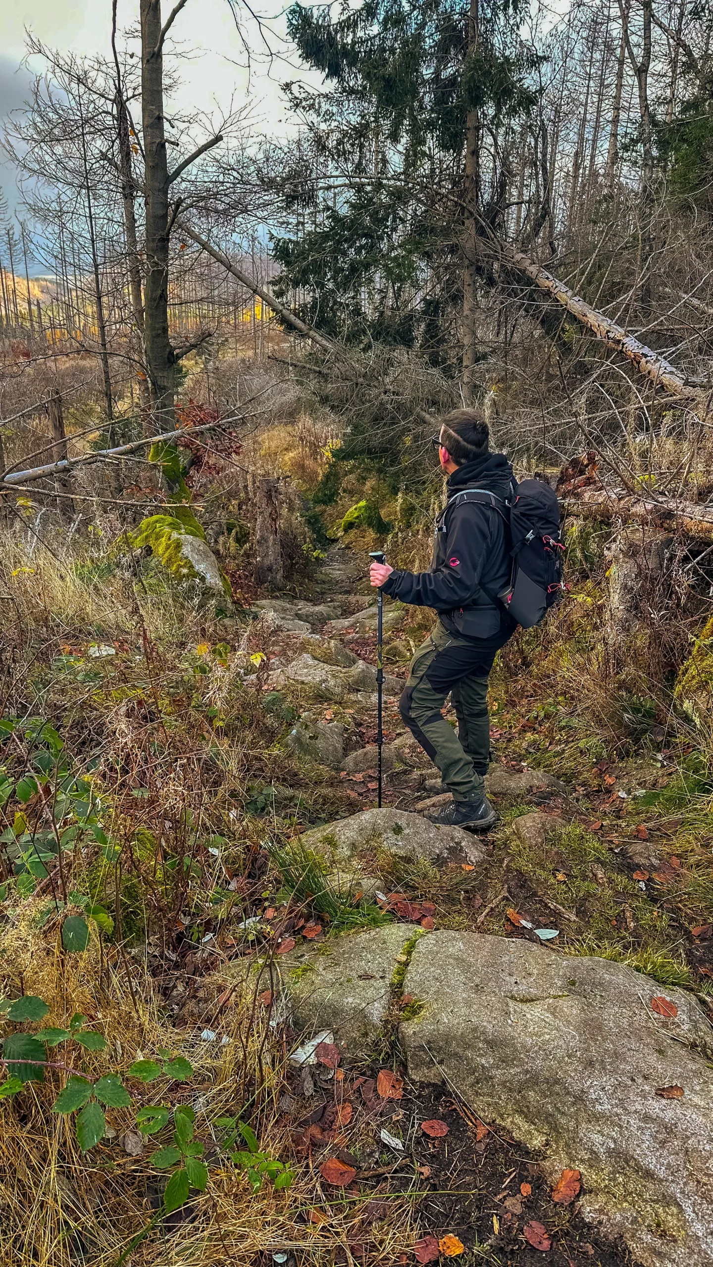20241116.Das.Ilsetal.im.Herbst.Bild39