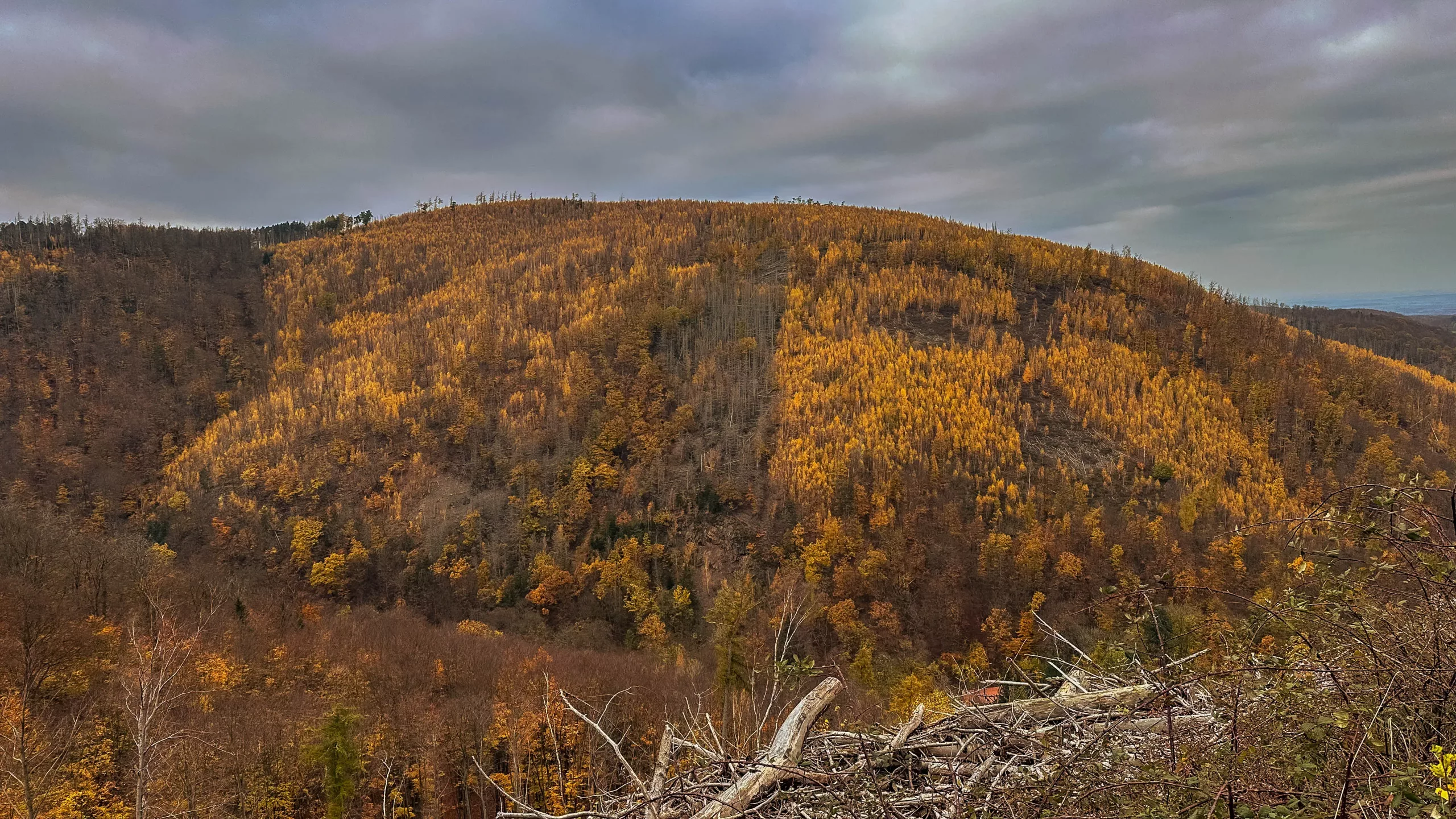 20241116.Das.Ilsetal.im.Herbst.Bild43