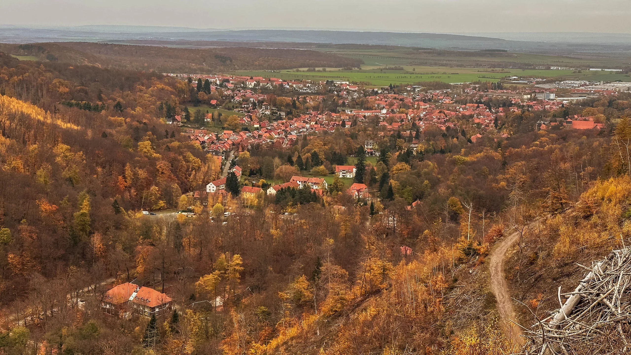 20241116.Das.Ilsetal.im.Herbst.Bild44