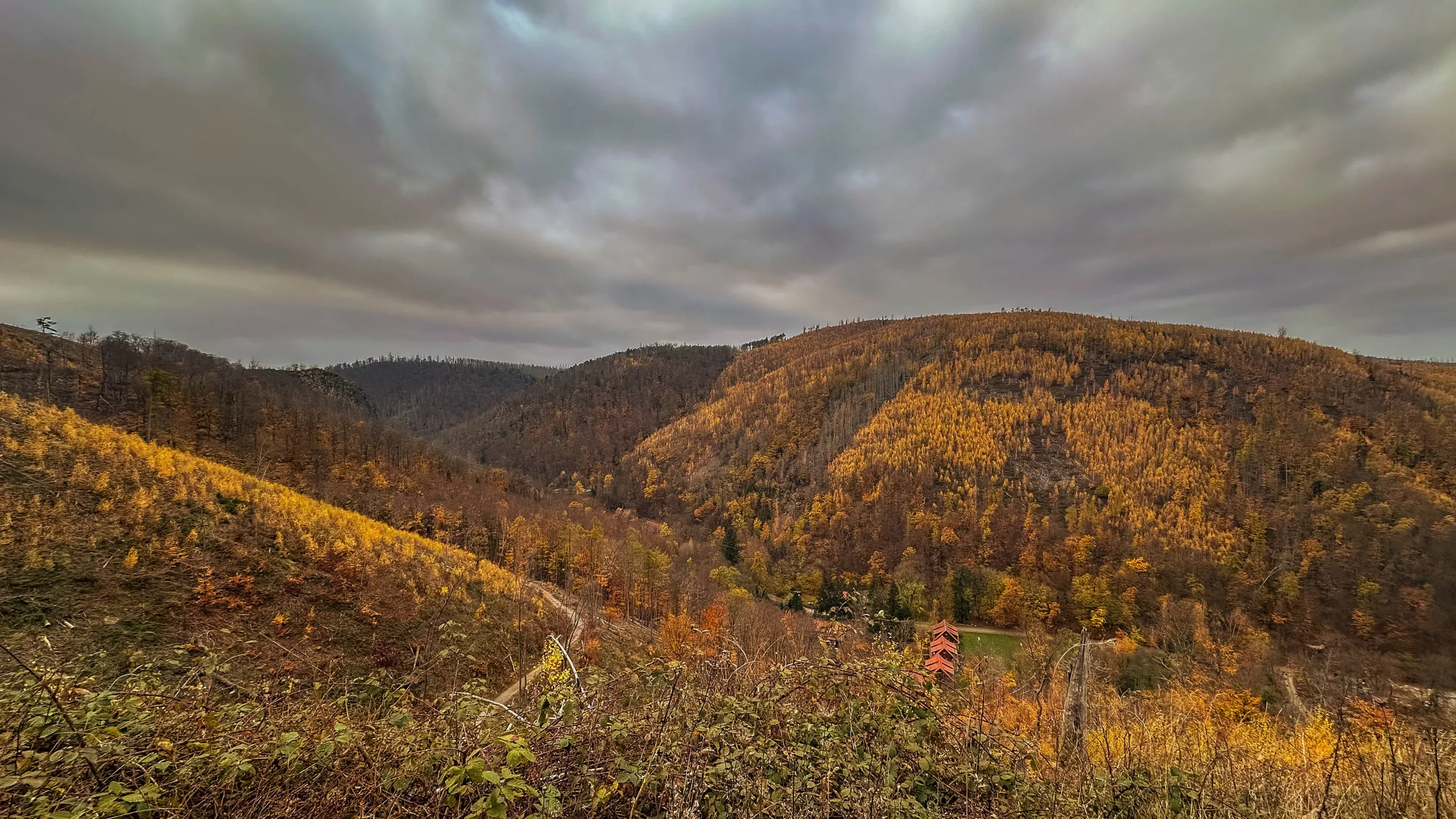 20241116.Das.Ilsetal.im.Herbst.Bild45
