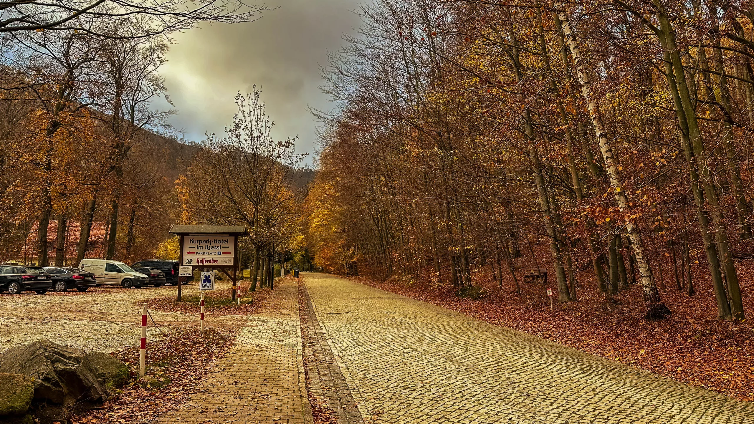 20241116.Das.Ilsetal.im.Herbst.Bild5