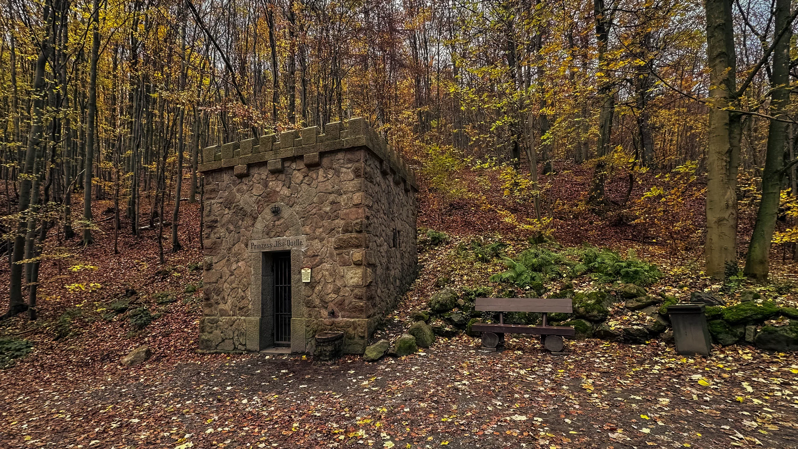 20241116.Das.Ilsetal.im.Herbst.Bild8
