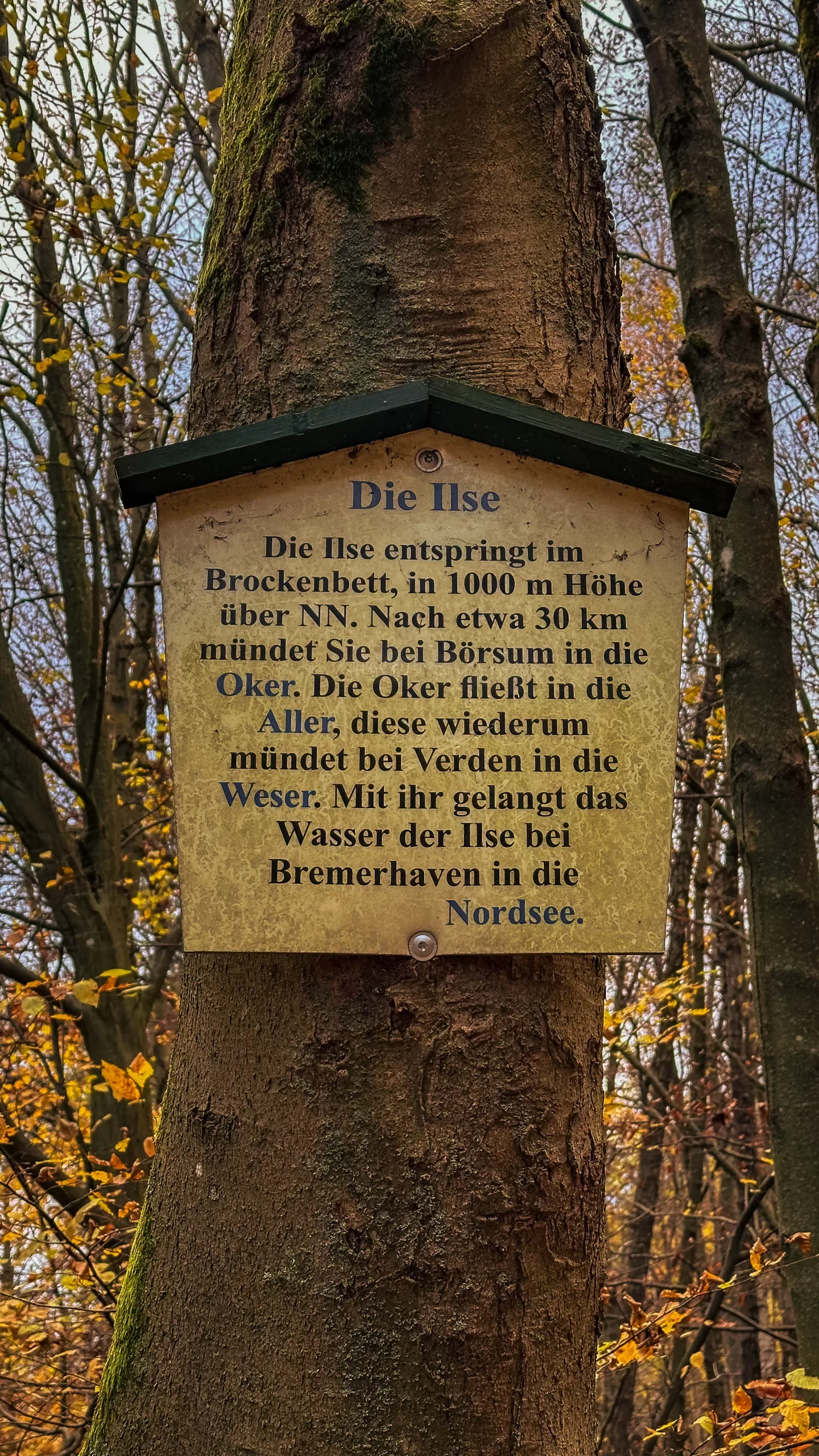 20241116.Das.Ilsetal.im.Herbst.Bild9
