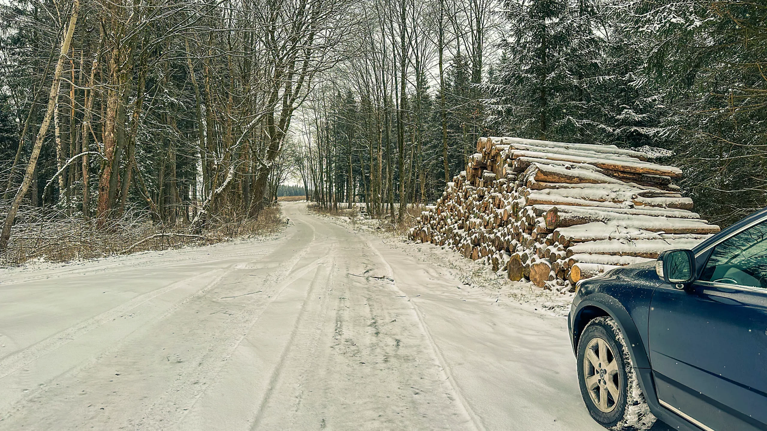 20250215.Harz.Zorge.und.Umgebung.Bild01