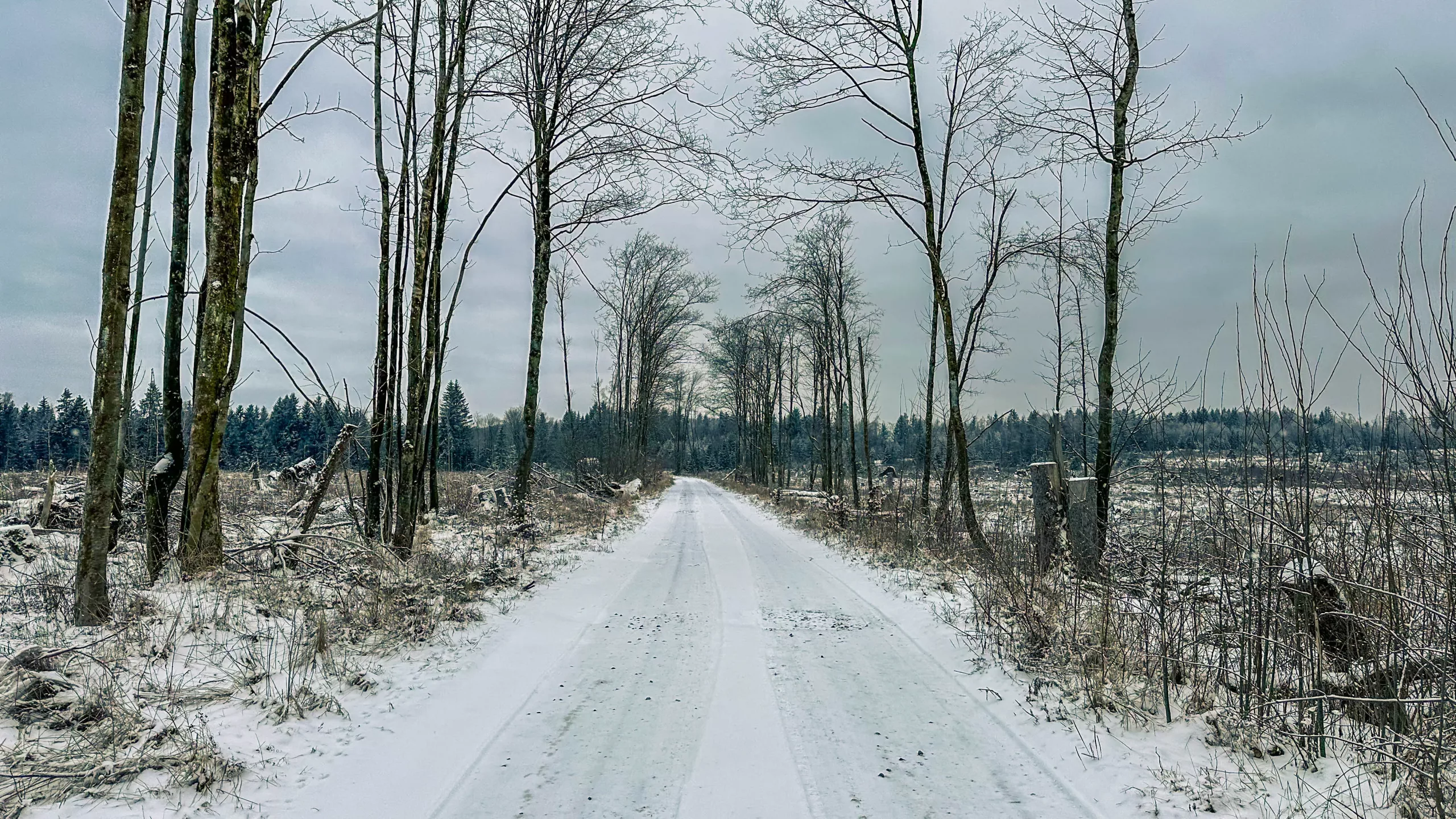 20250215.Harz.Zorge.und.Umgebung.Bild08