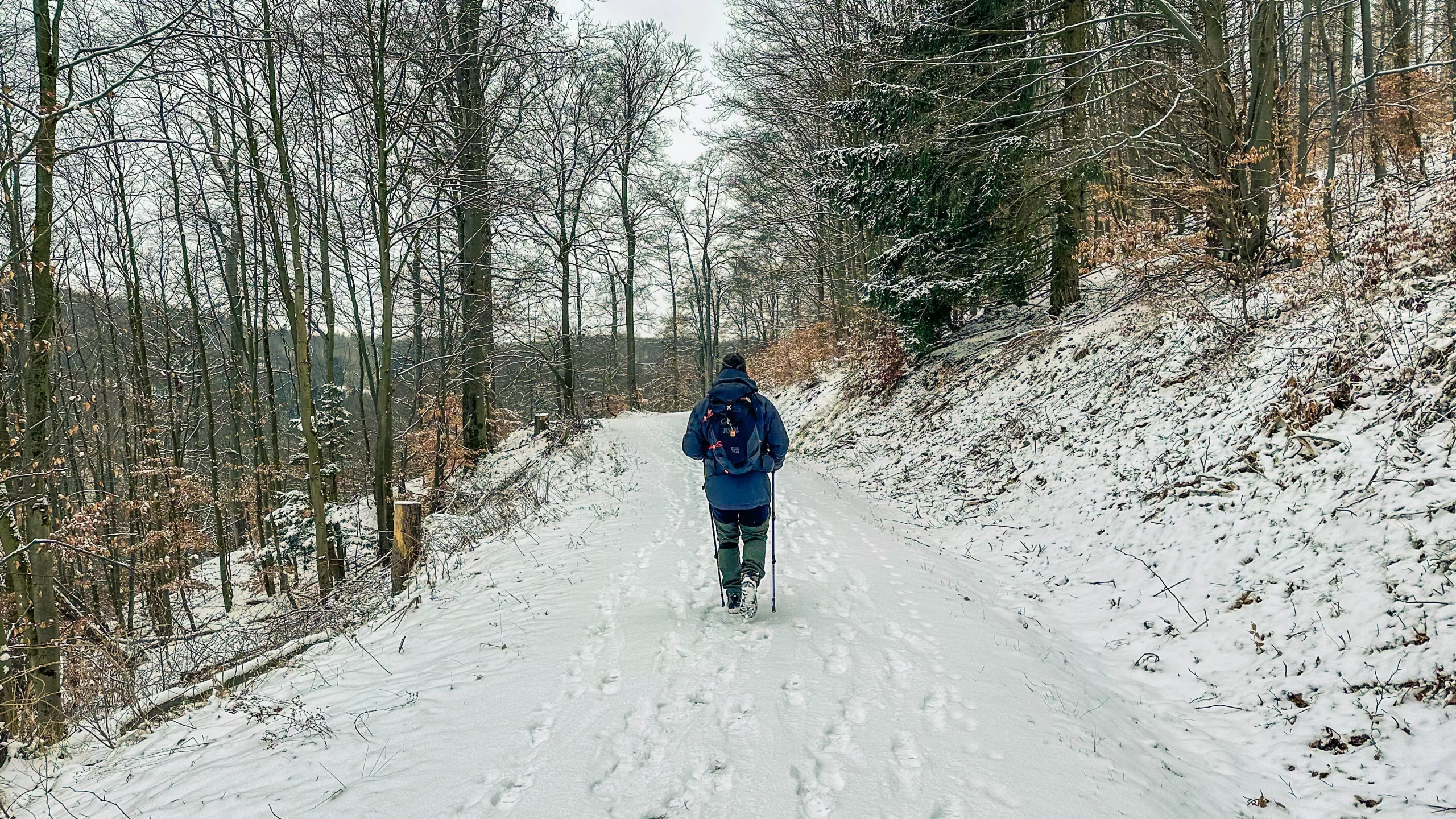 20250215.Harz.Zorge.und.Umgebung.Bild18